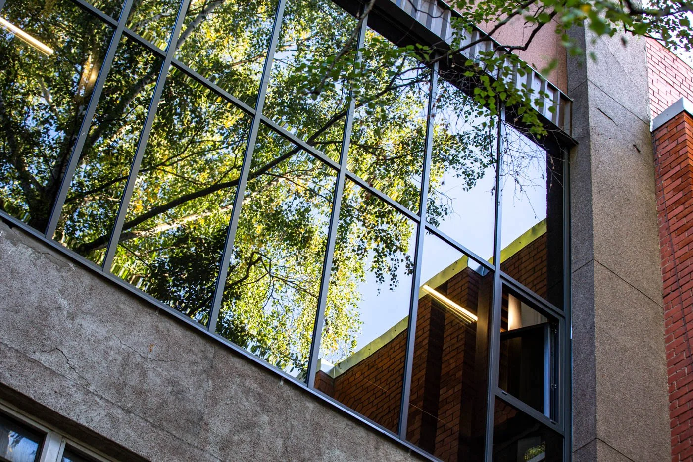 Fasāžu stiklojums ar saules aizsardzību Sadales tīkla ēkā