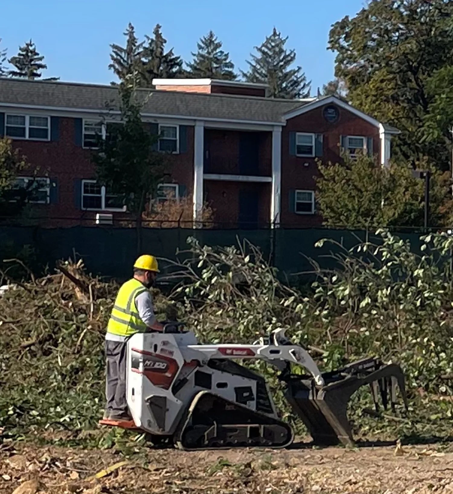 bustleton-site-clearing_5.jpeg