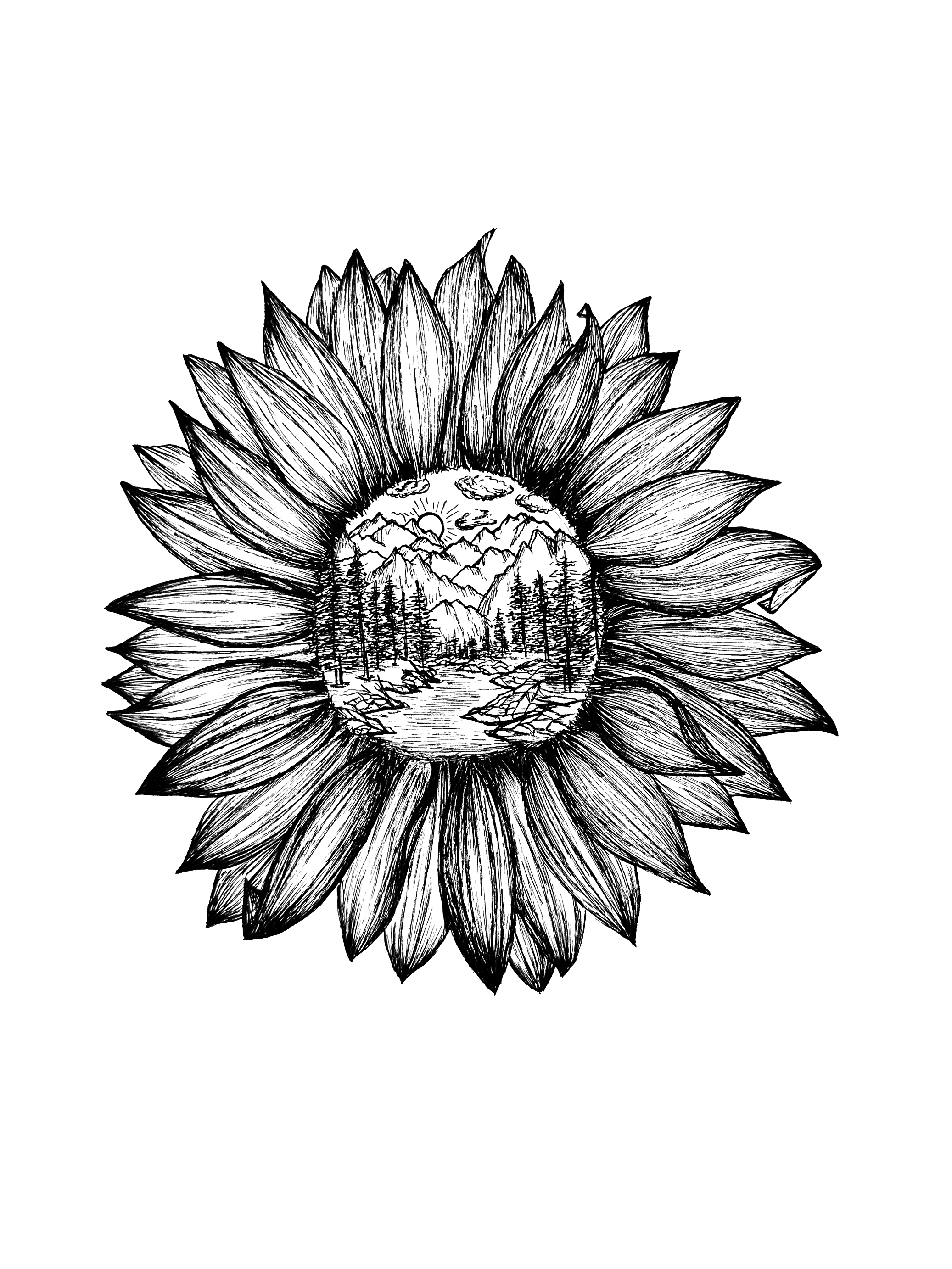IMG_2058.PNG