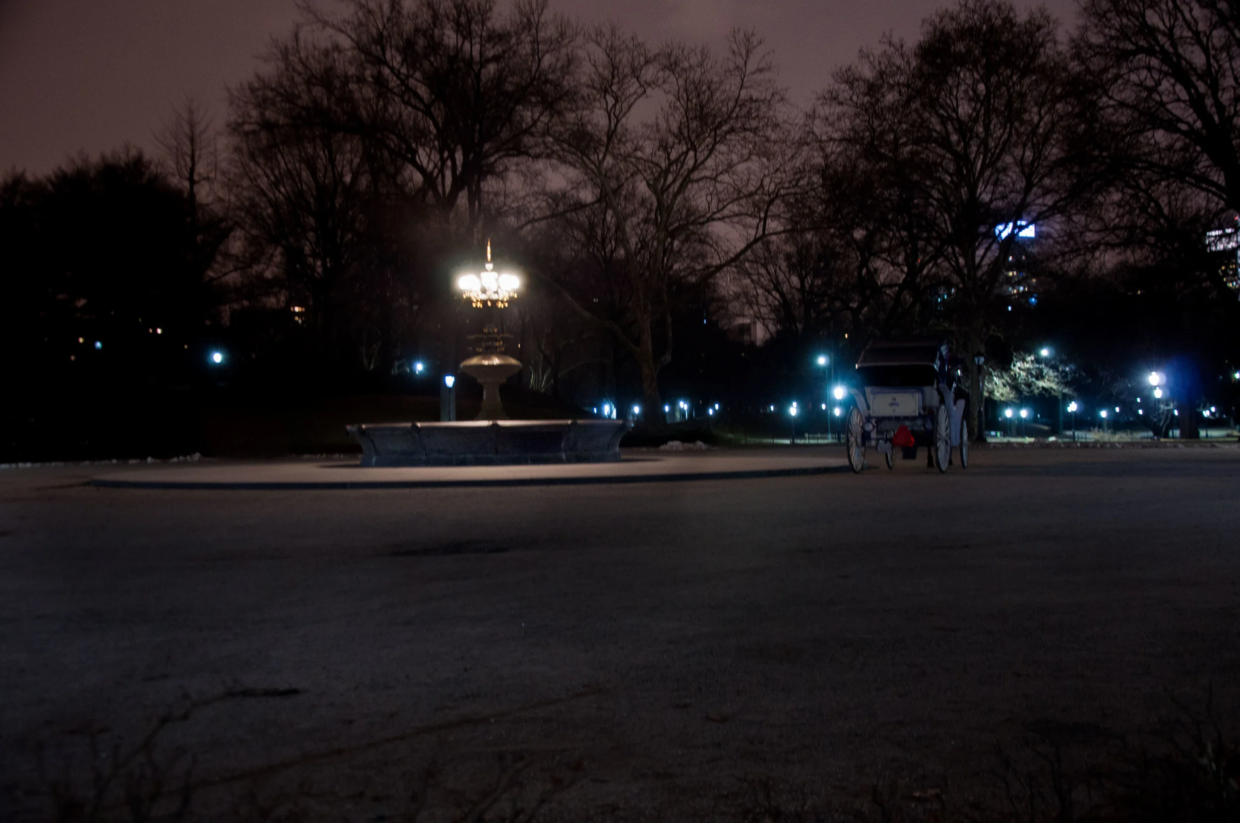 _DSC7074.jpg