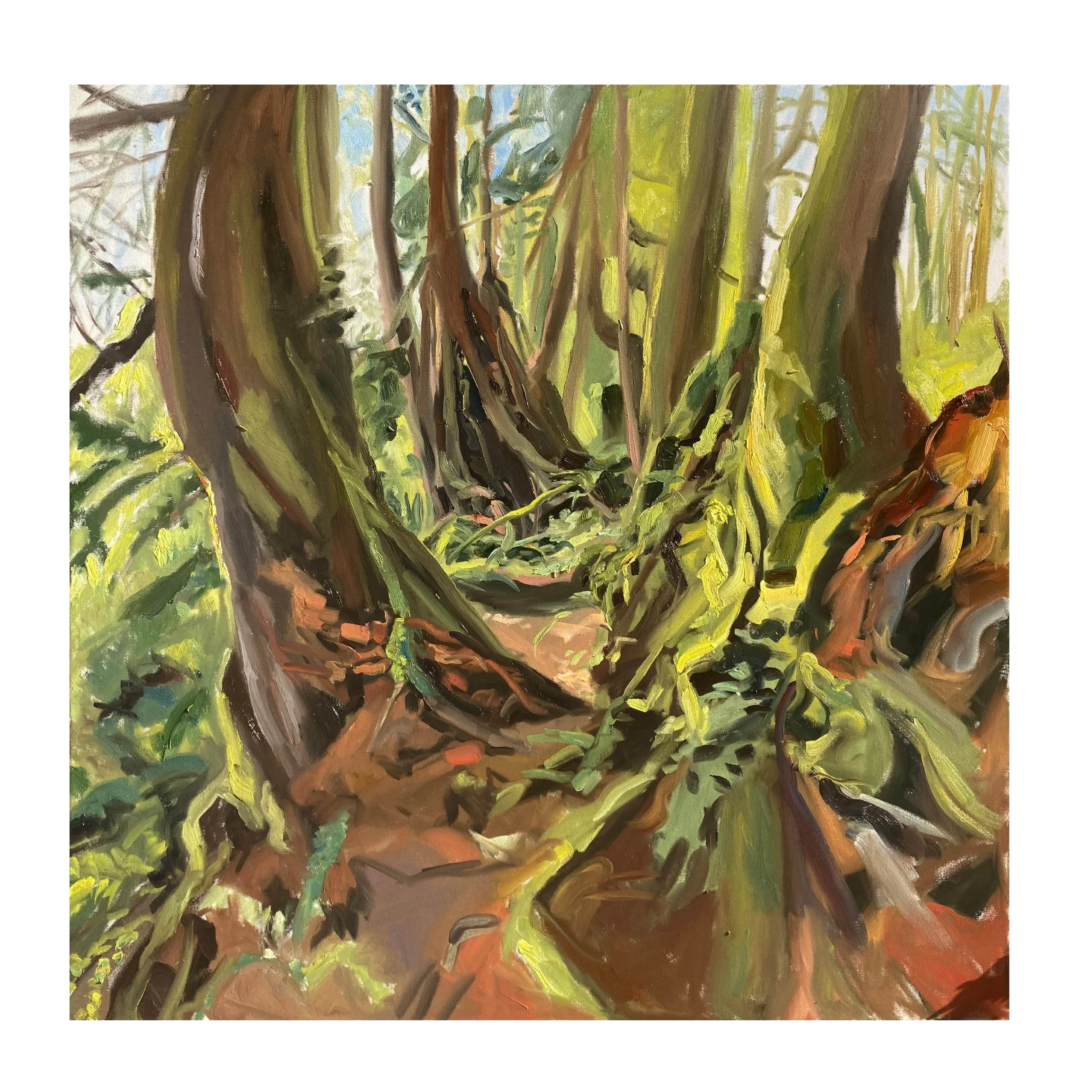 treesss.jpg