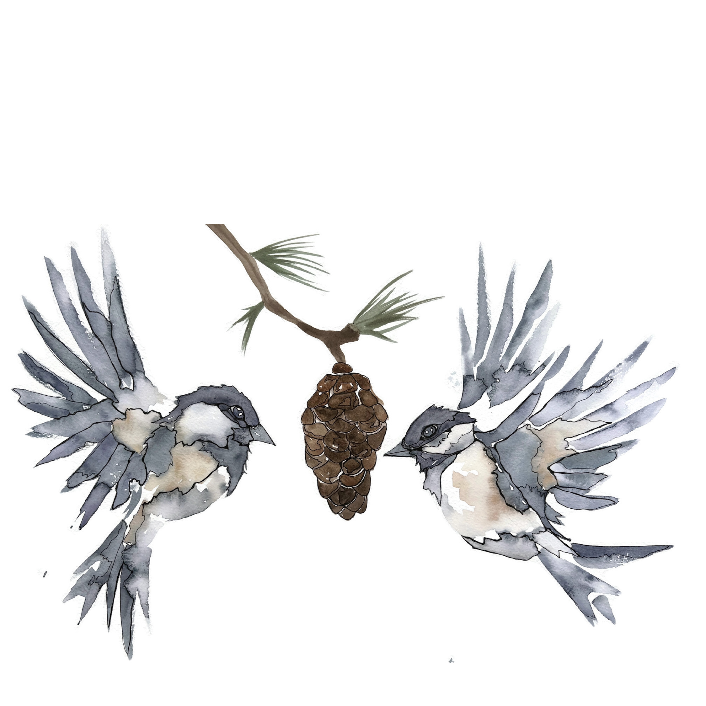 Morgan Padgett: Black Capped Chickadees