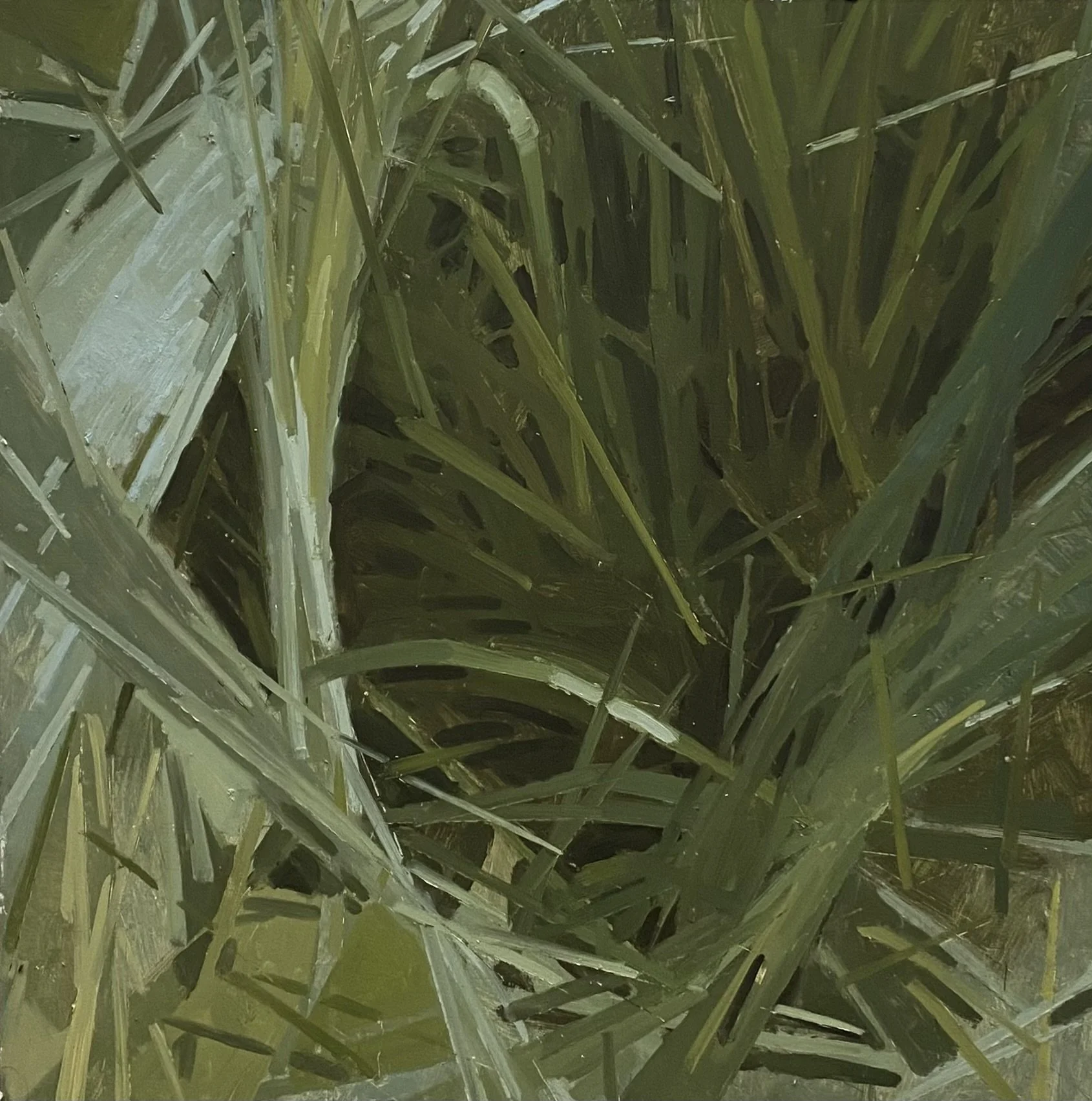 Grass-scape 8