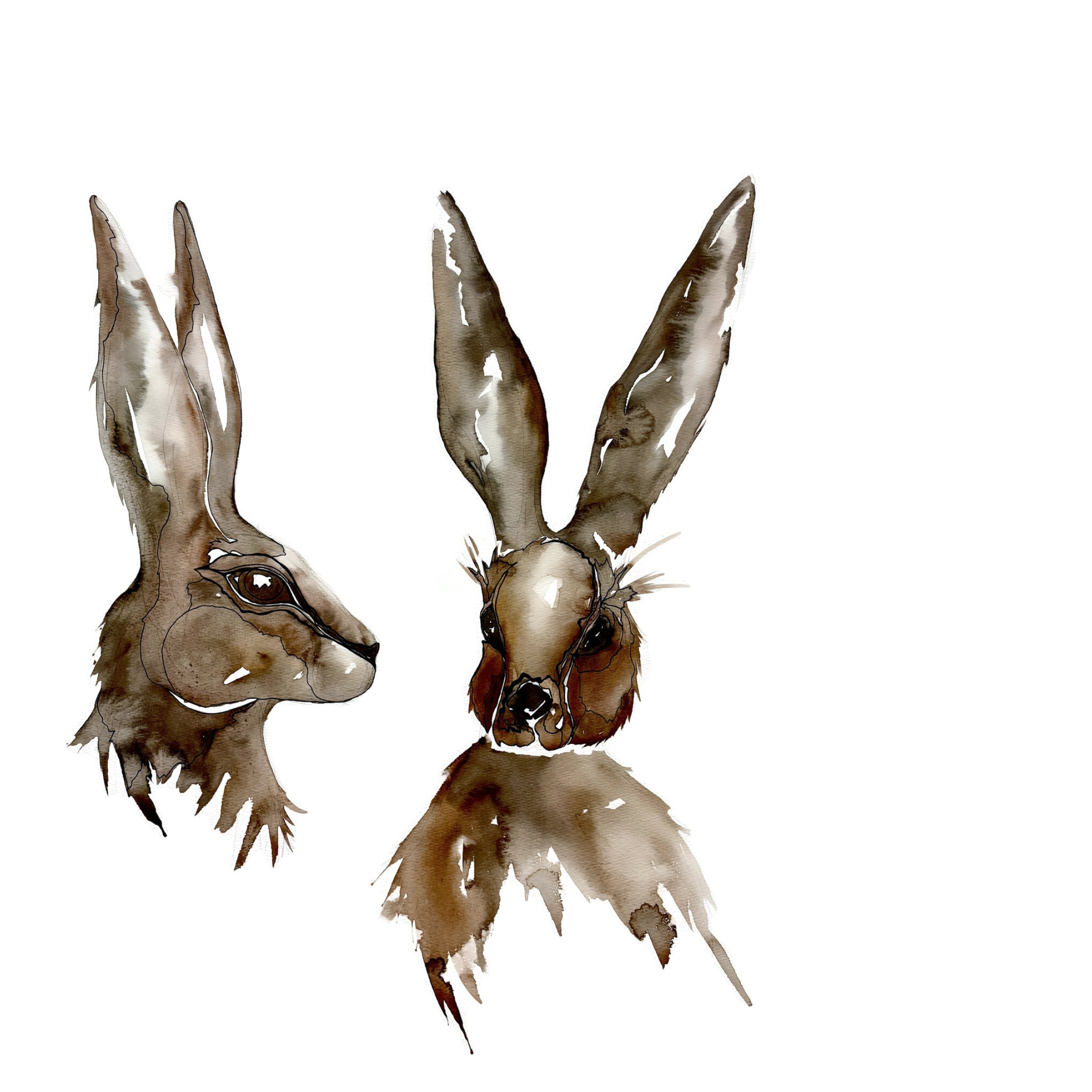 Morgan Padgett: Hares 2