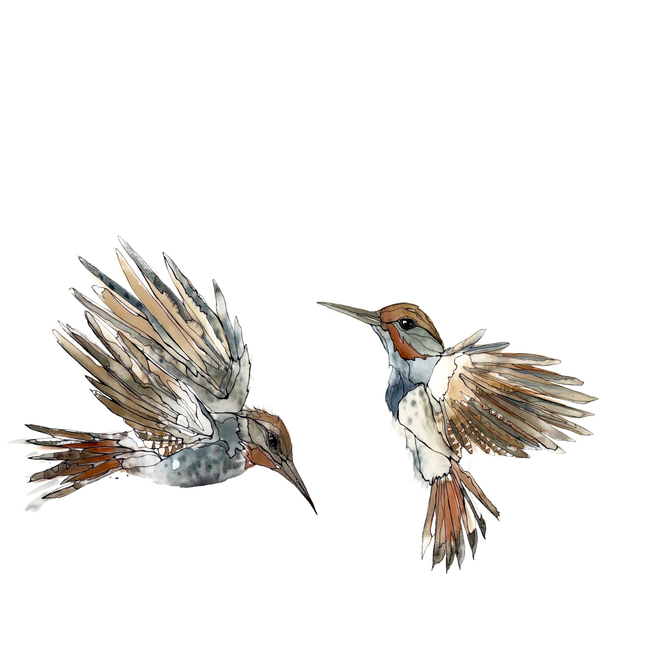 Morgan Padgett: Northern Flickers