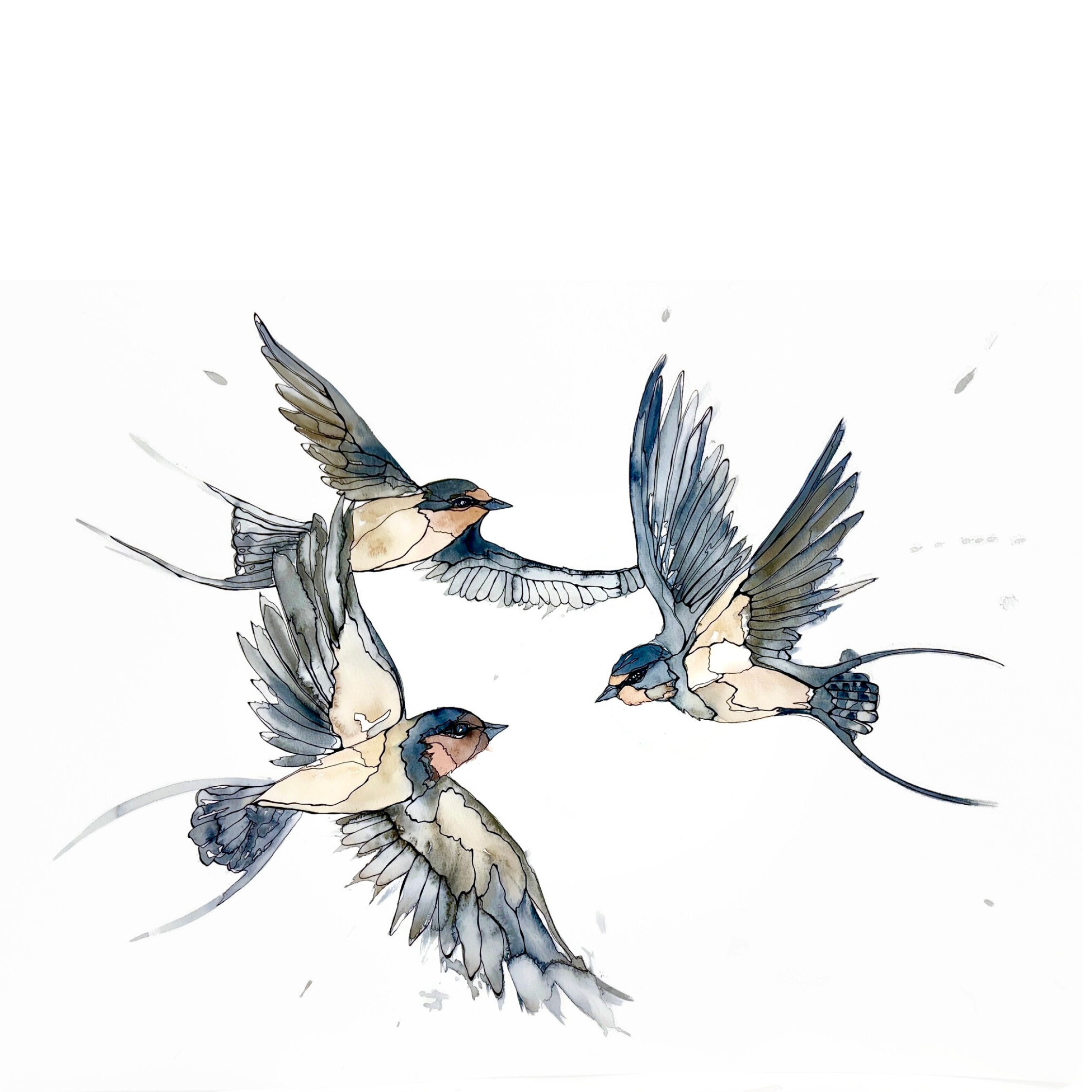 Morgan Padgett: Three Swallows