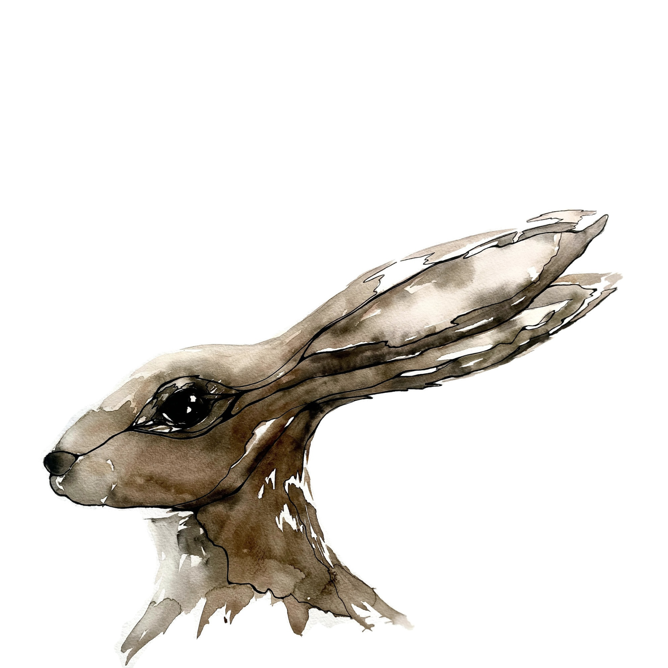 Morgan Padgett: Hare