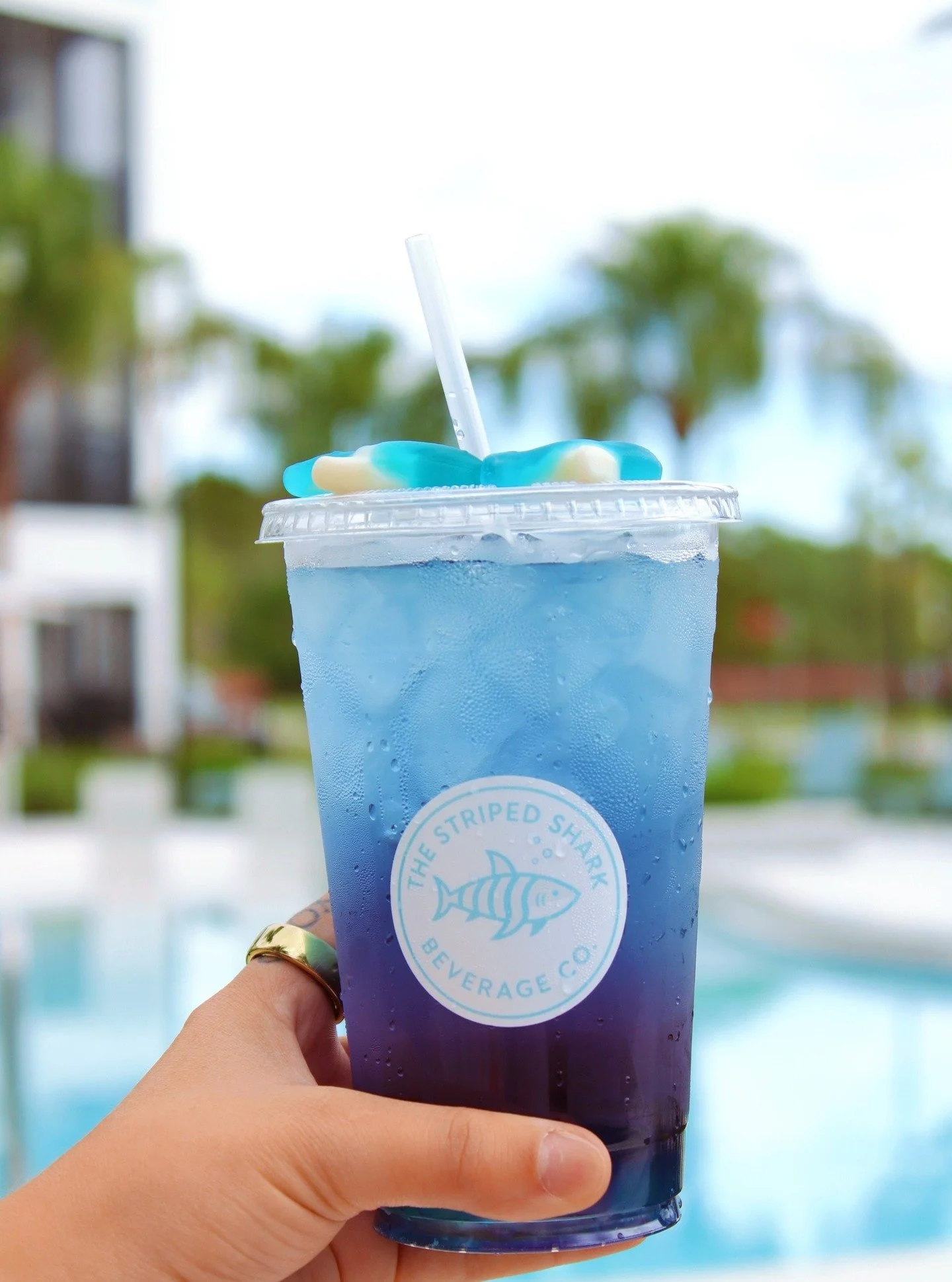 We&rsquo;re excited to welcome Striped Shark Beverage Co to Stillwell at Wellen Park! Join us Saturday, 1/31 from 11&ndash;2 PM for a pop-up featuring their fan-favorite energy drinks, dirty sodas, and flavored lemonades. Stop by and sip with us!🦈🥤