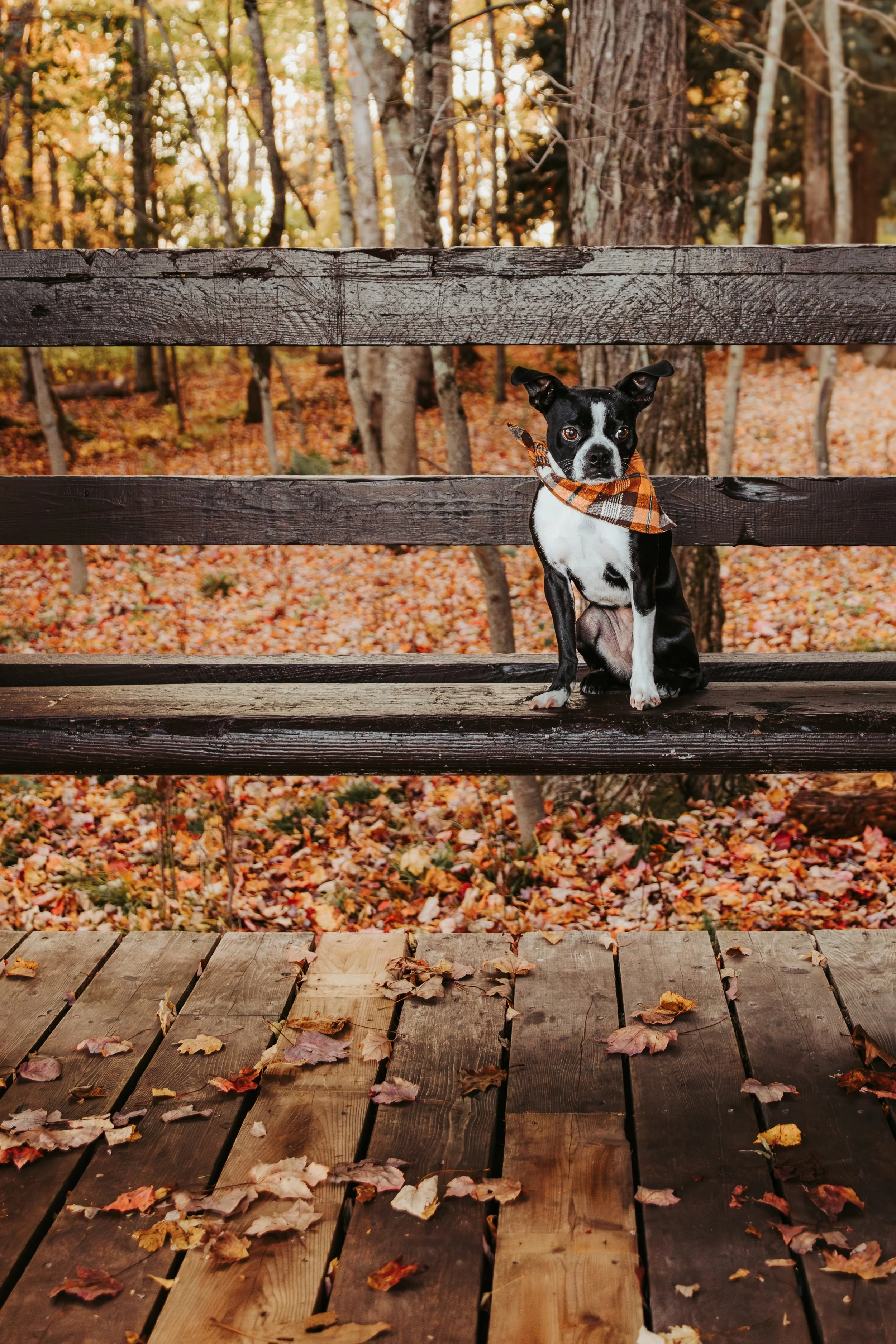 3O6A7410-Enhanced-NR.jpg