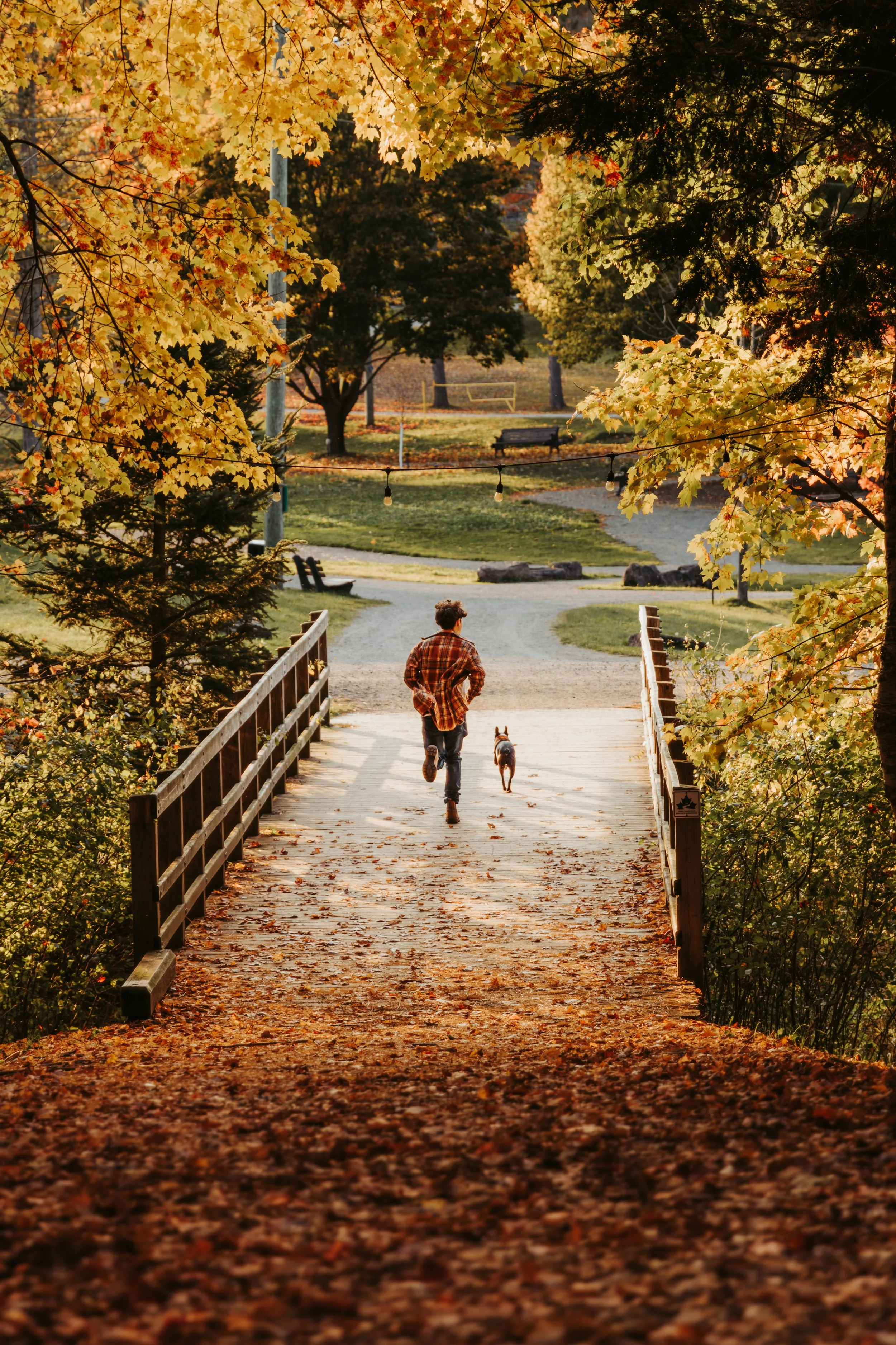3O6A8031-Enhanced-NR.jpg