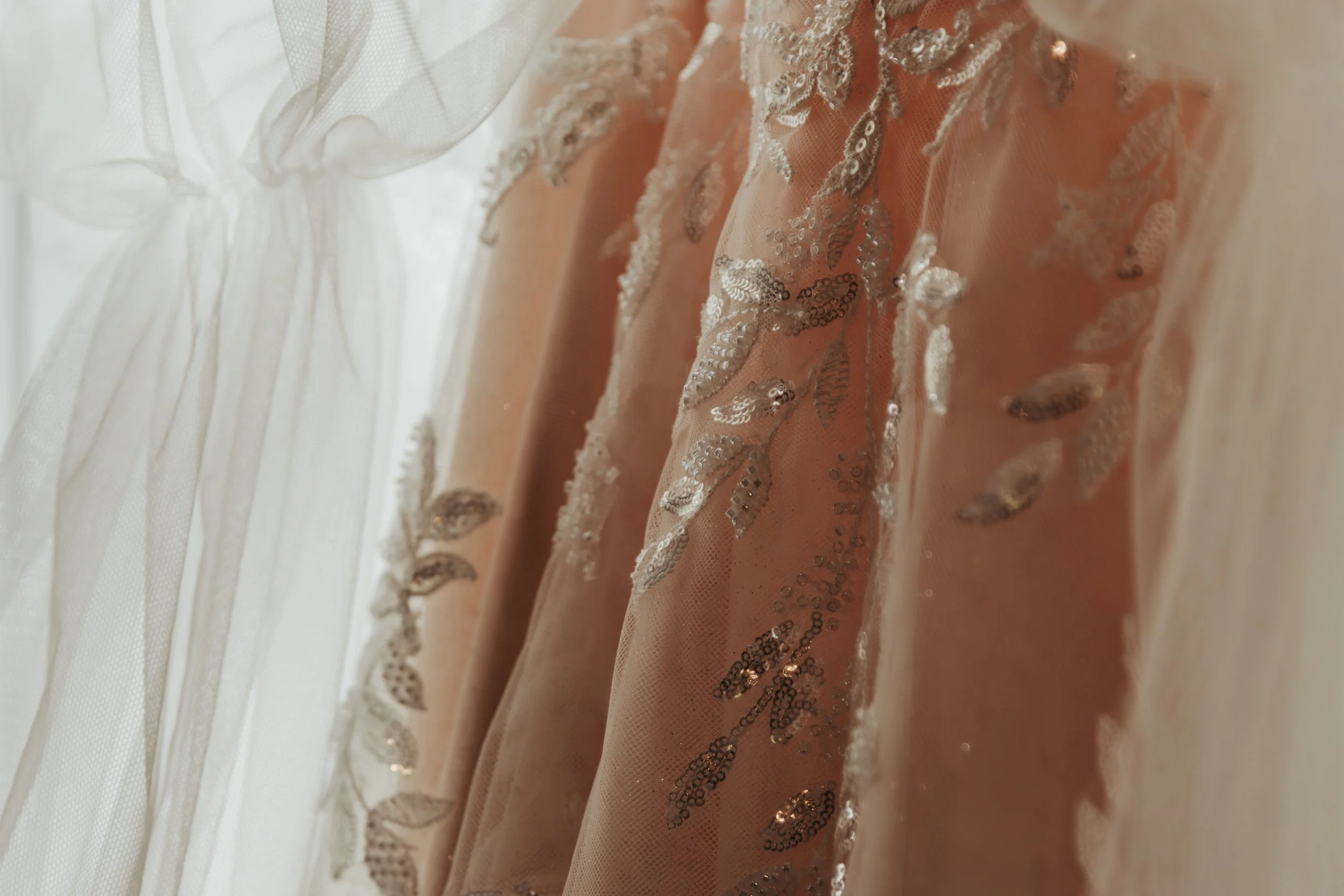 3O6A6552-Enhanced-NR.jpg