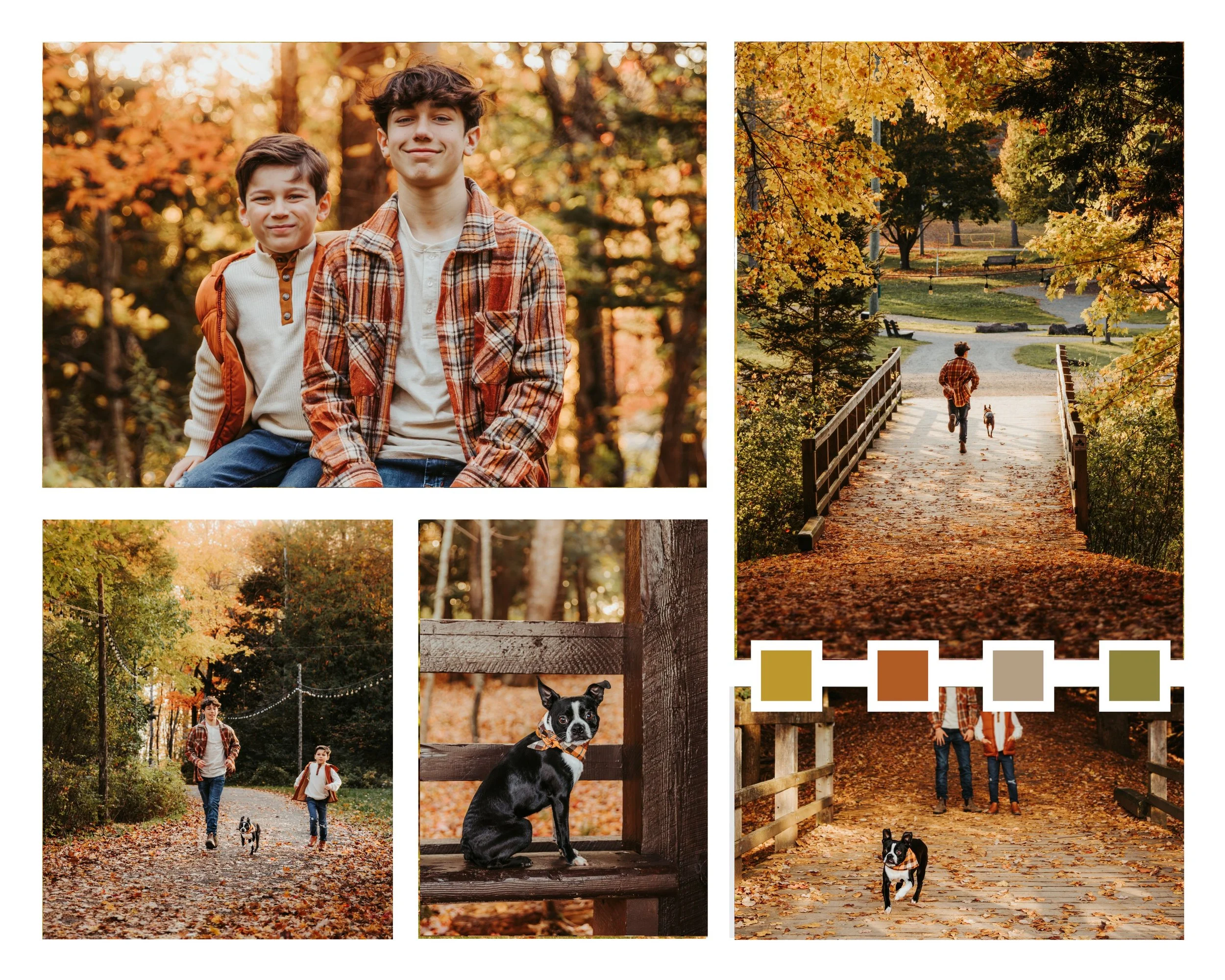 wepik-minimalist-modern-wedding-photo-collage-202411190457546tX0.jpeg