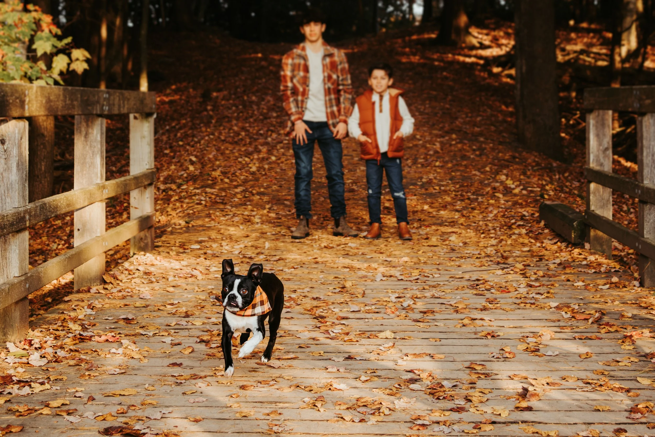 3O6A7081-Enhanced-NR.jpg