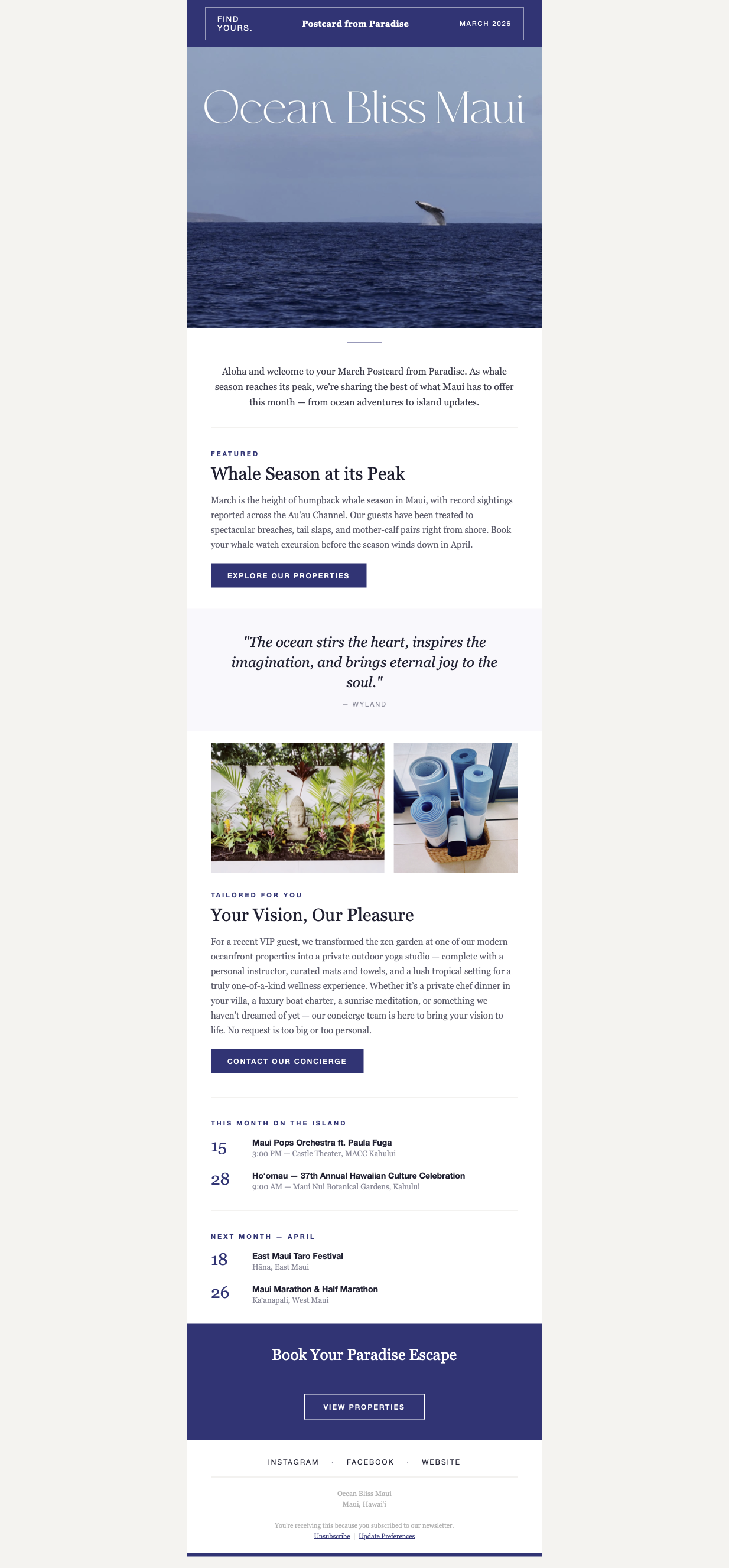 Custom Designed Email Template