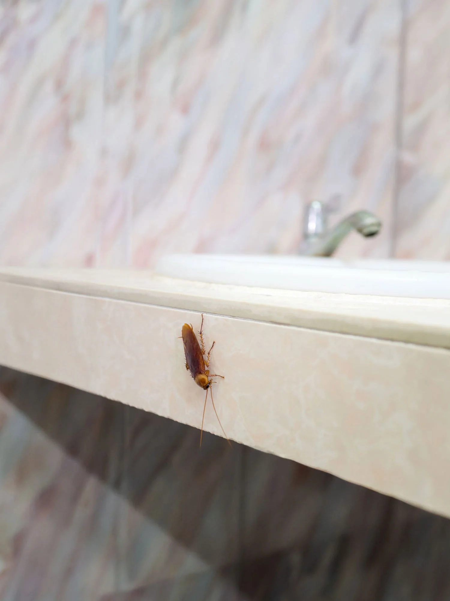 Professional-Exterminators-of-Redding-California_About-8.jpg