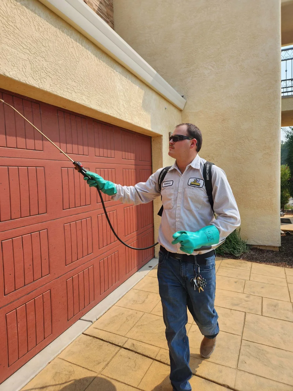 Professional Exterminators of Redding