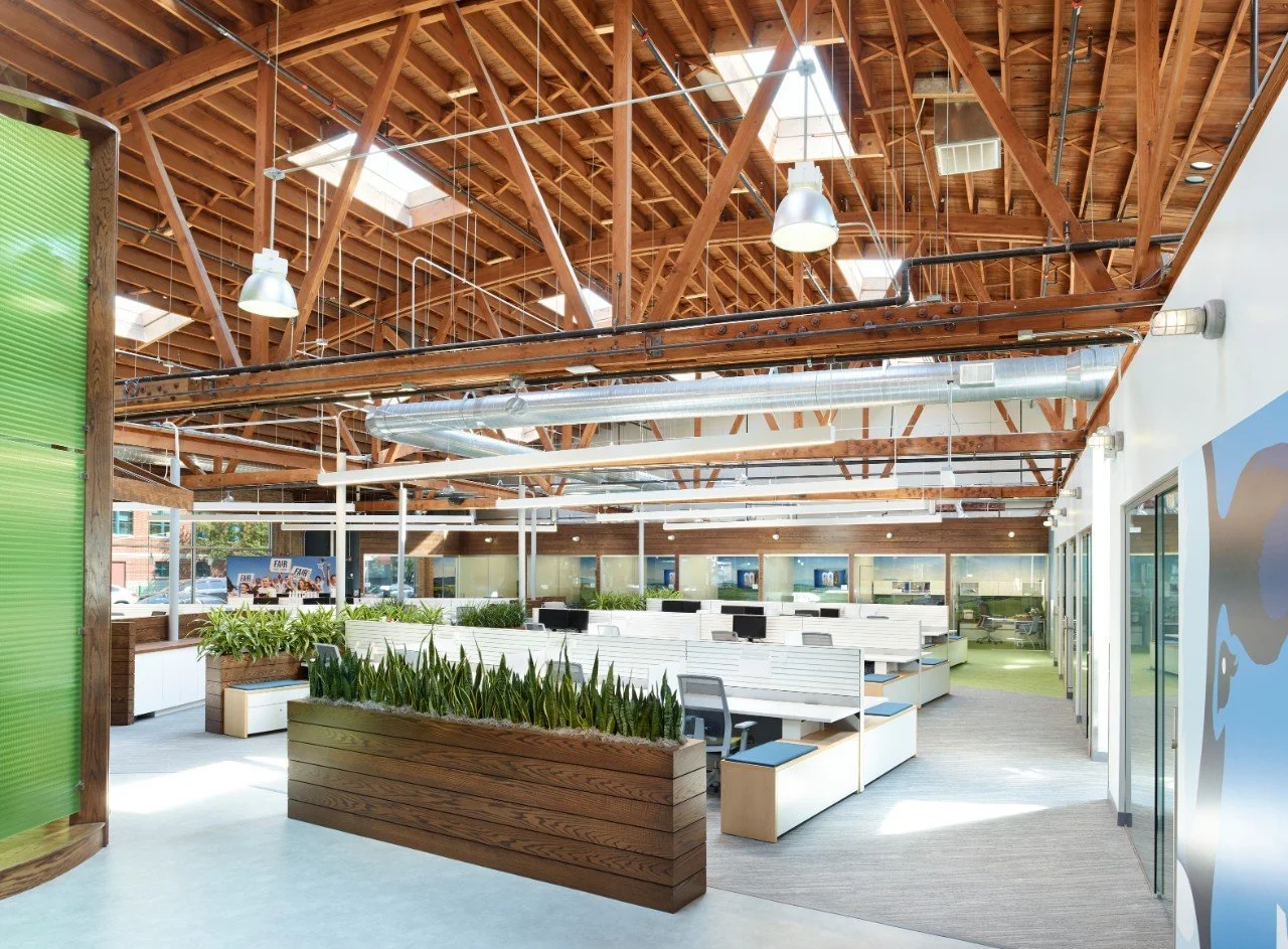 cq5dam.web.1280.1280 (1).jpeg