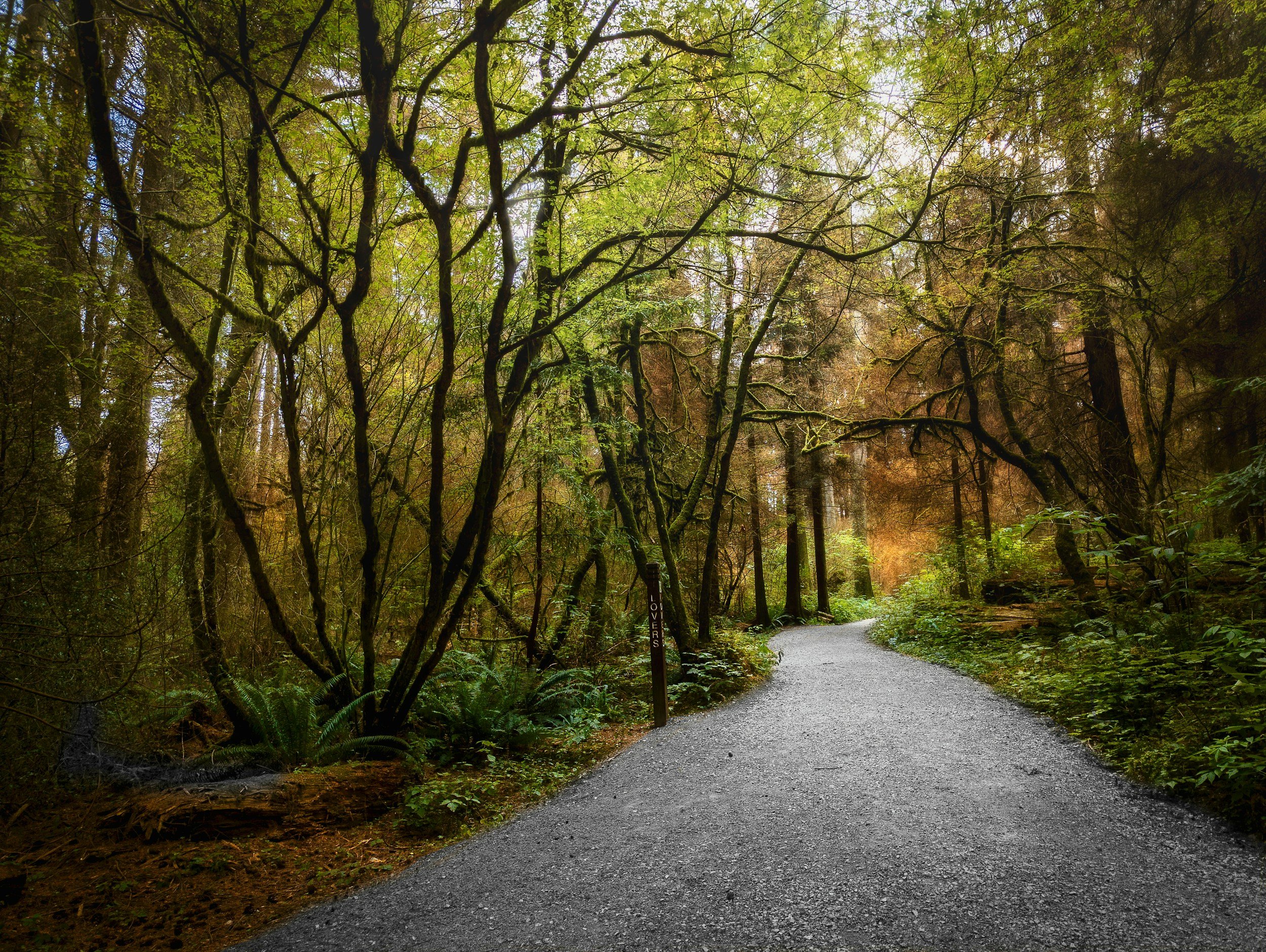 Will Career Assessments Clarify Your Next Steps?