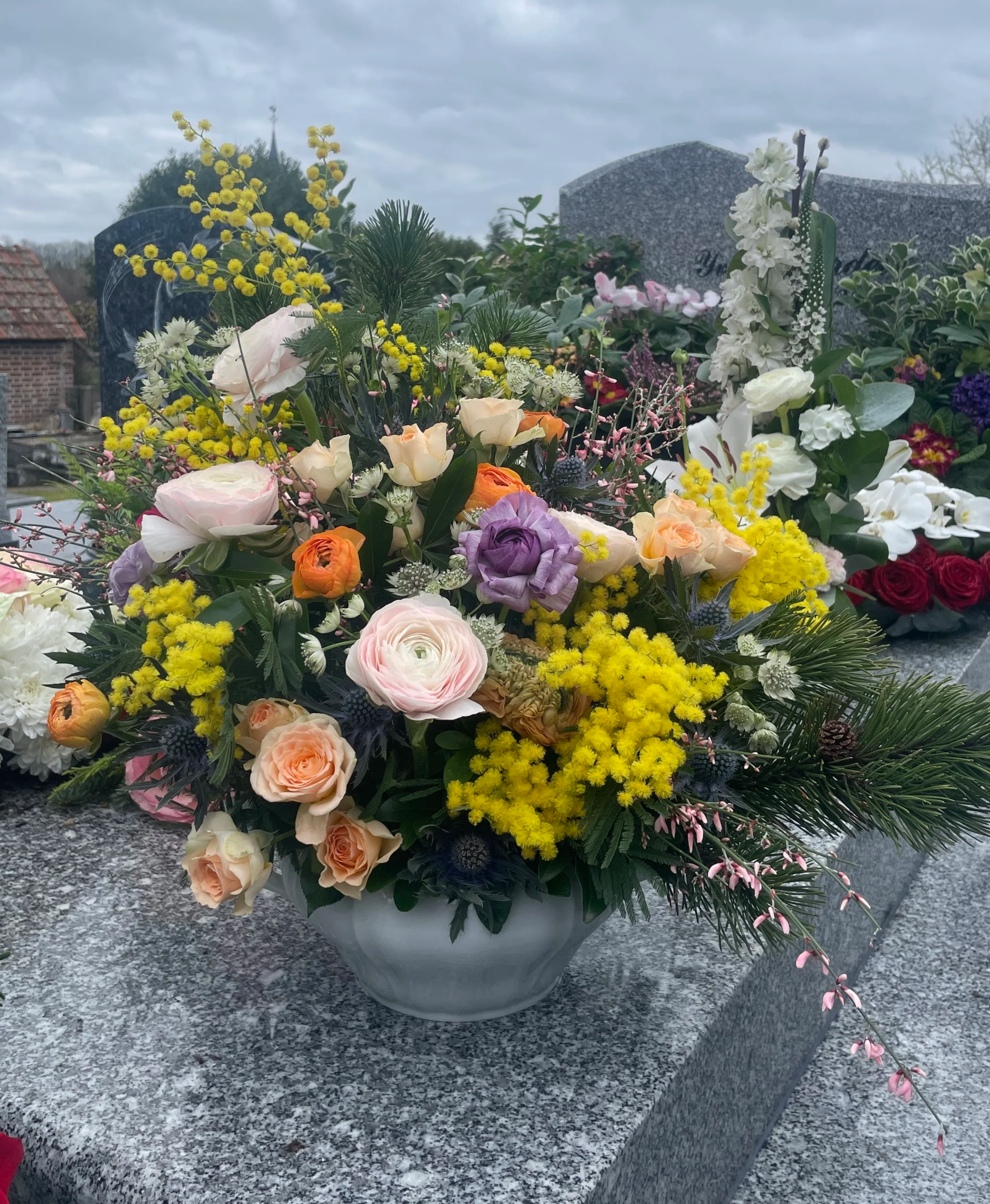 IMG_0647.png