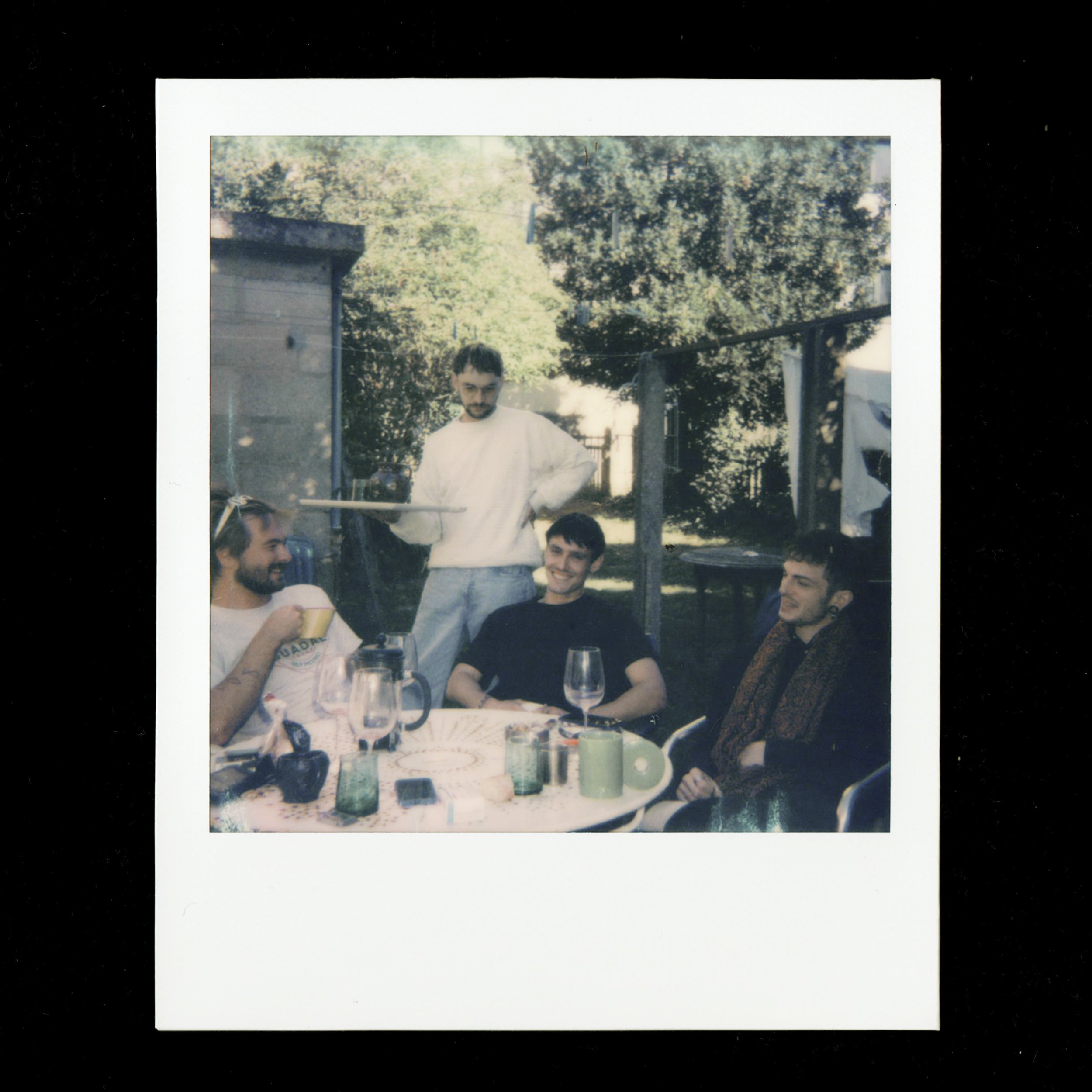 AIDB - pola.jpg