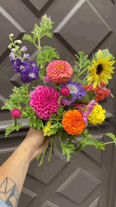 IMG_9555.gif