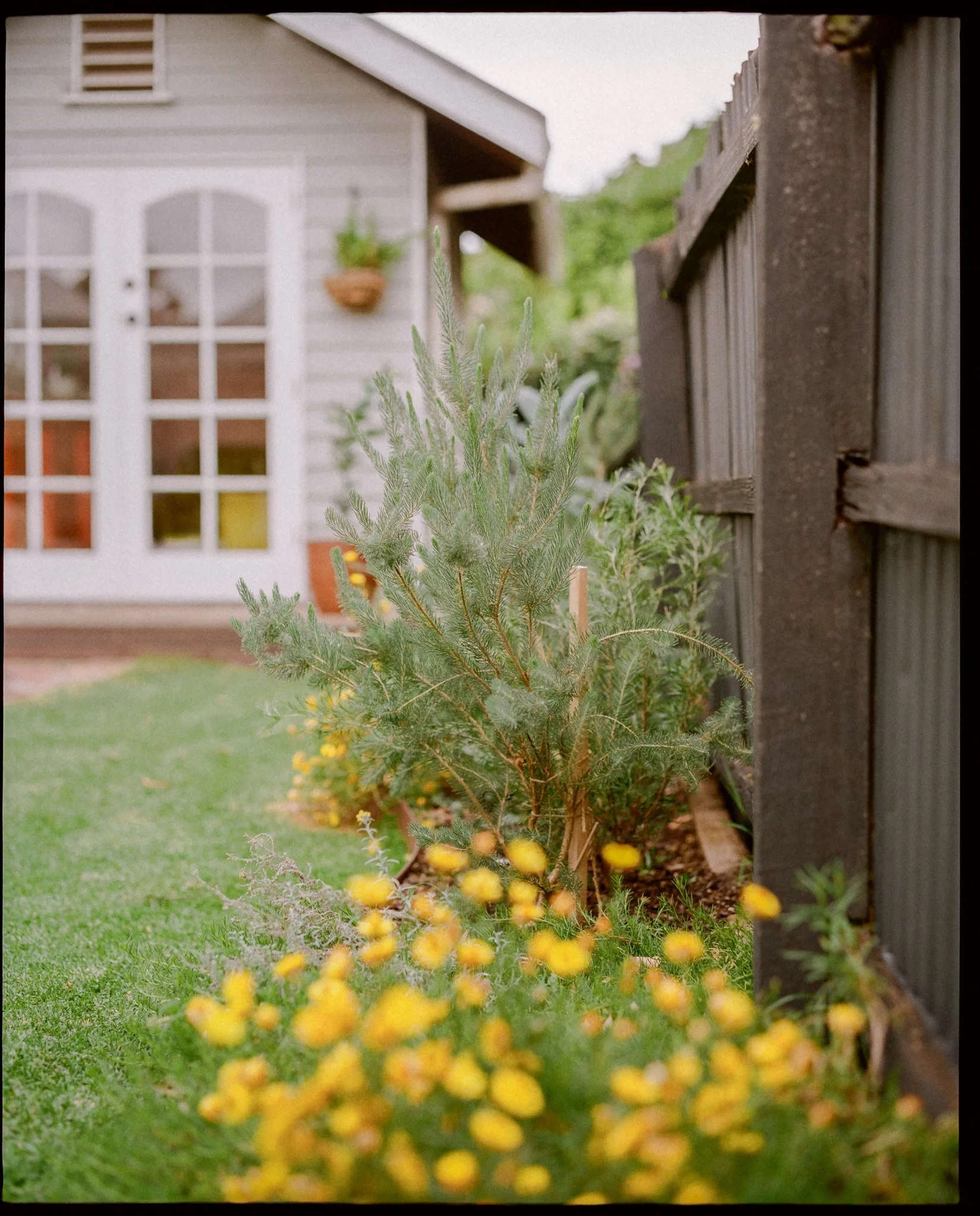 lawn with outdoor dining areas and native planting, while maintaining a generous play space for young children and encouraging interaction with the garden.