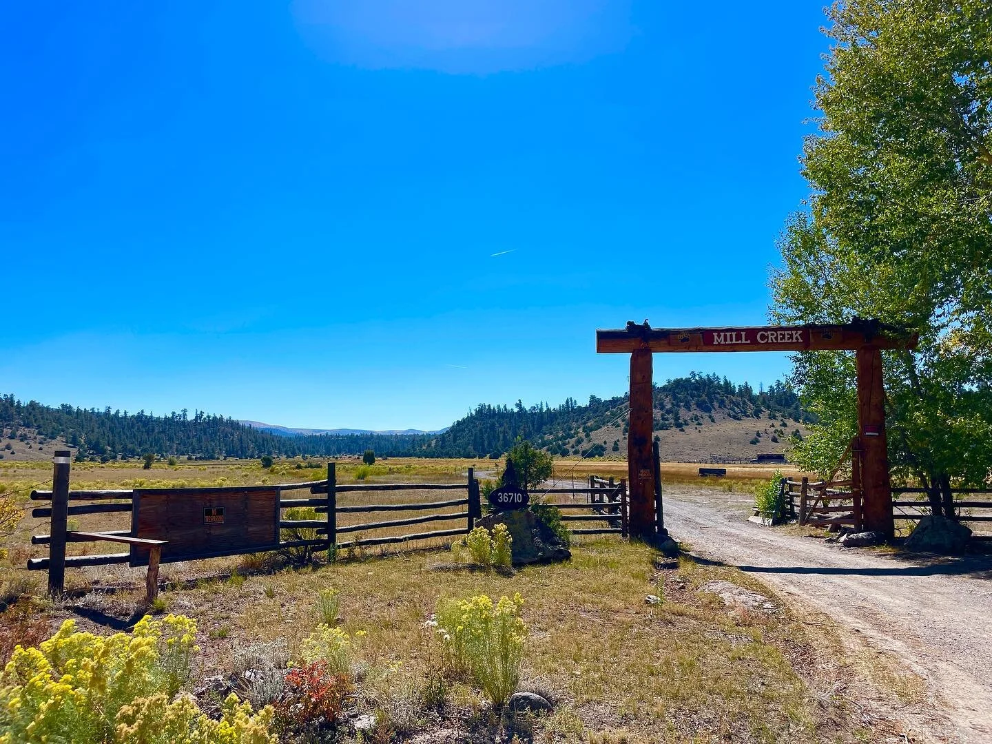 We had a chance to visit Old Cow Town, a massive property boasting 22 accommodations on a radiation free environment. 

This sort of property is hard to come by, especially in this part of the world. 

At the moment, we are pursuing this project and 
