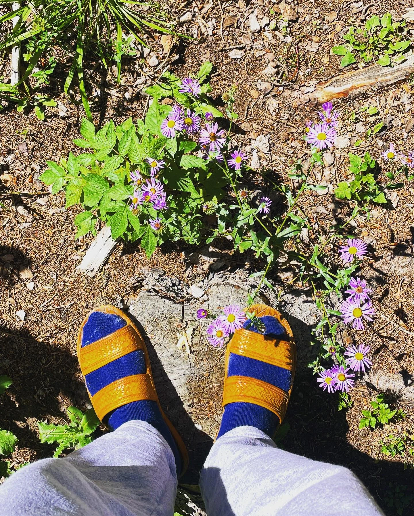 One of the most healing environments I&rsquo;ve been in for awhile. Although not perfect, I did find myself connecting with myself in a way that brought relief upon my soul.

Discovering healthy environments has been few and far between over the last