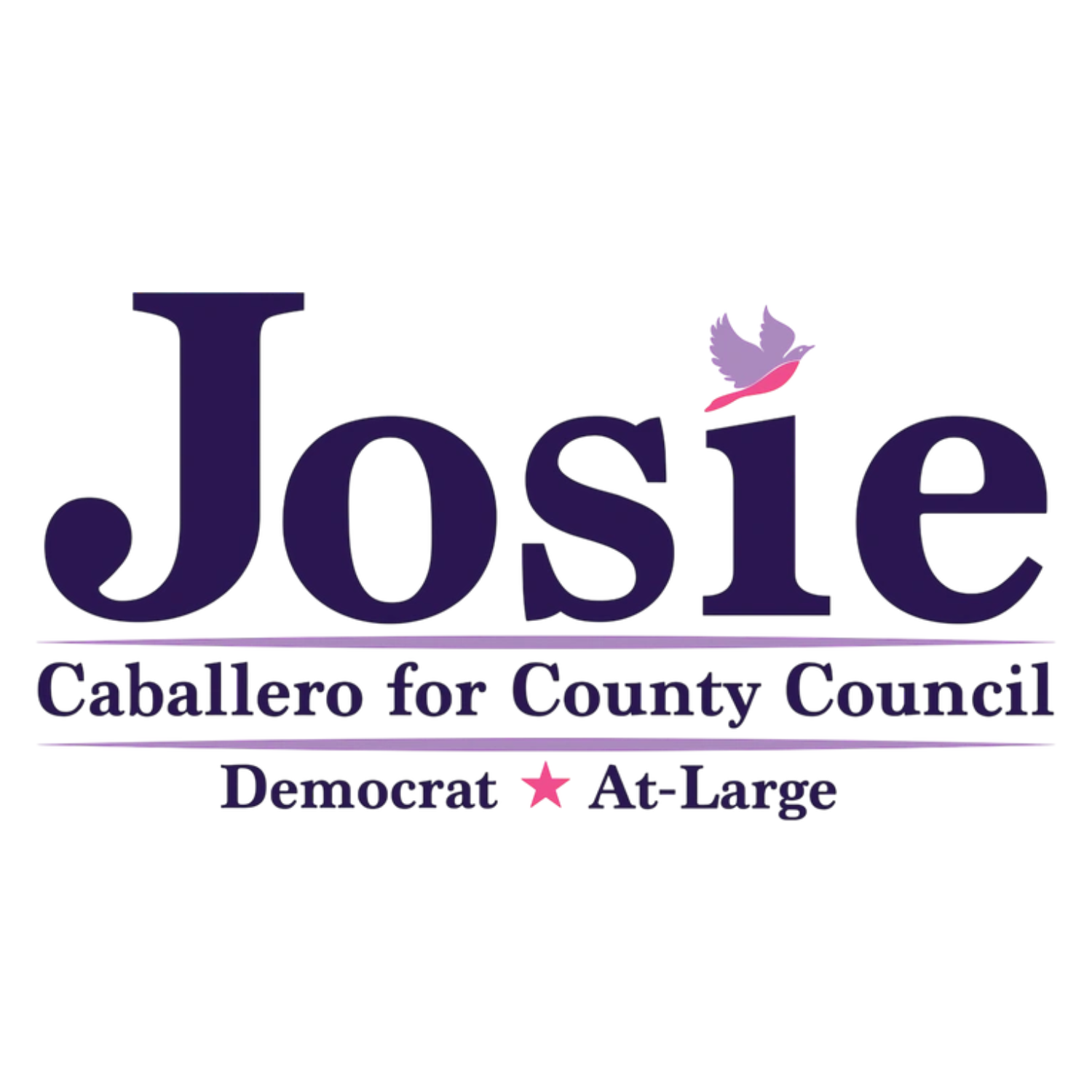 Josie Caballero for County Council logo