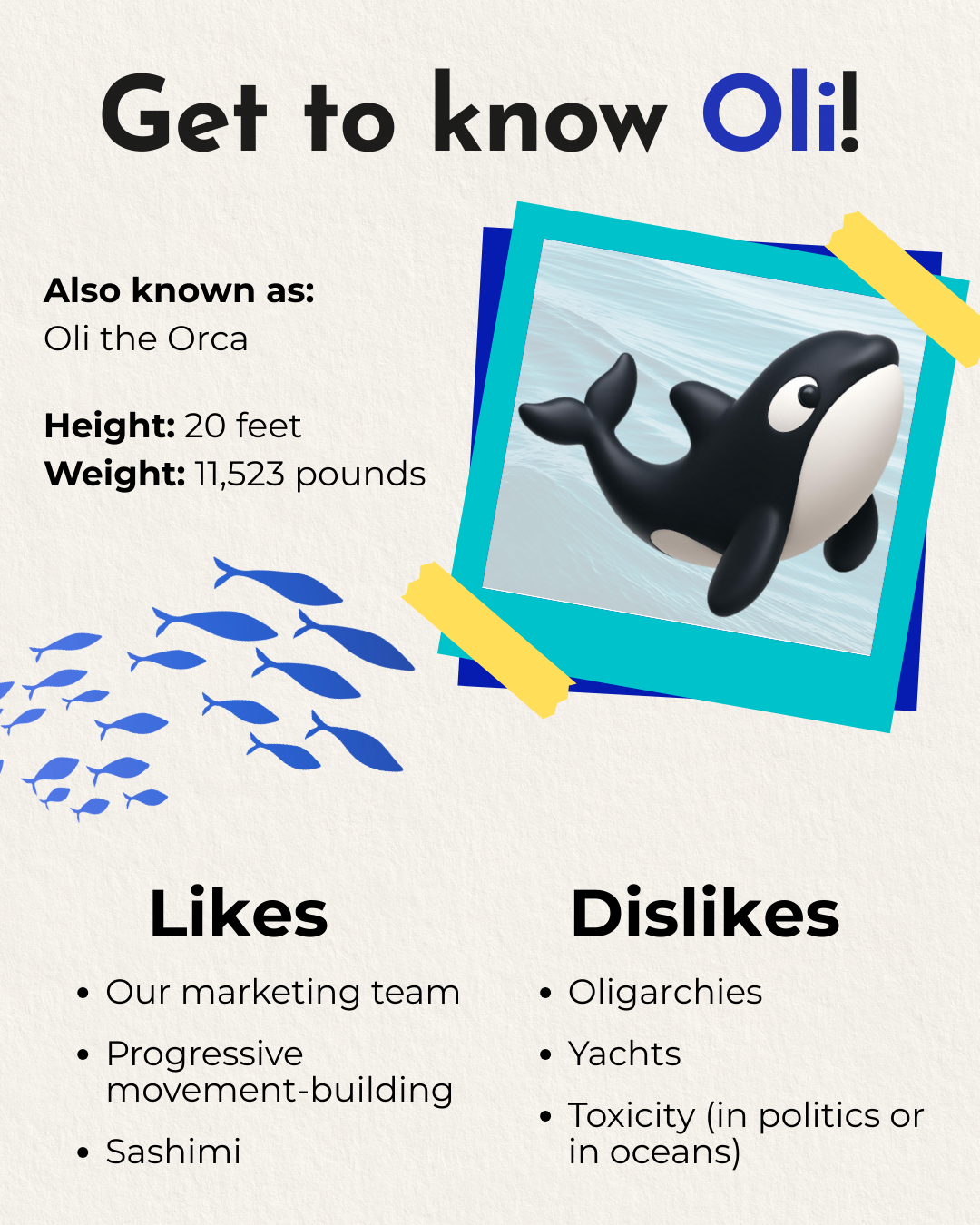 A colorful infographic introducing Oli the orca. The infographic lists Oli's likes, including the marketing team, progressive movement-building, and sashimi, and dislikes, such as oligarchies, yachts, and toxicity in politics or oceans.