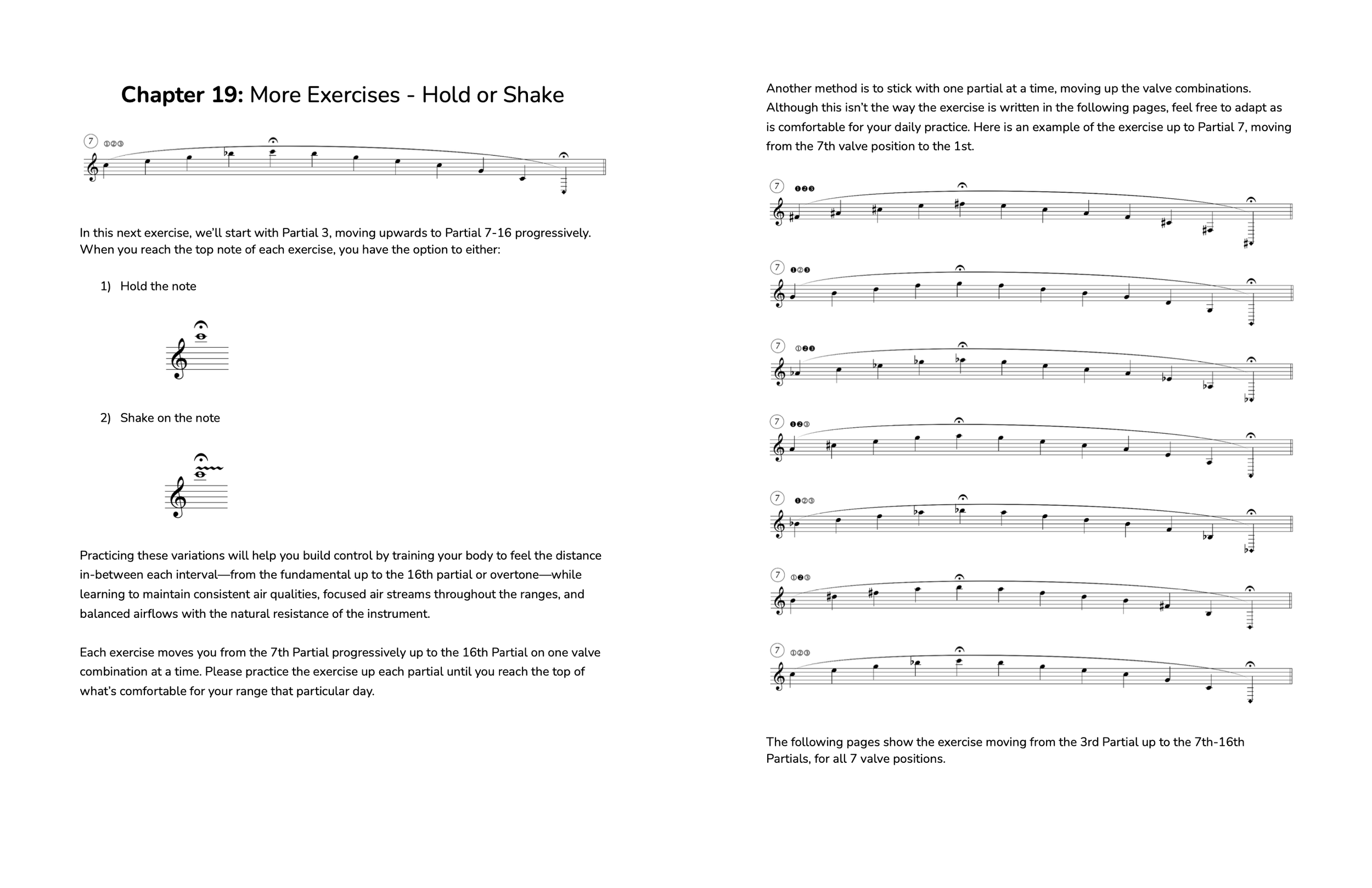 Page from a music book titled 'Chapter 19: More Exercises - Hold or Shake'. It provides instructions and musical exercises for practicing valve combinations on a wind instrument, illustrating notes and fingerings with musical notation.