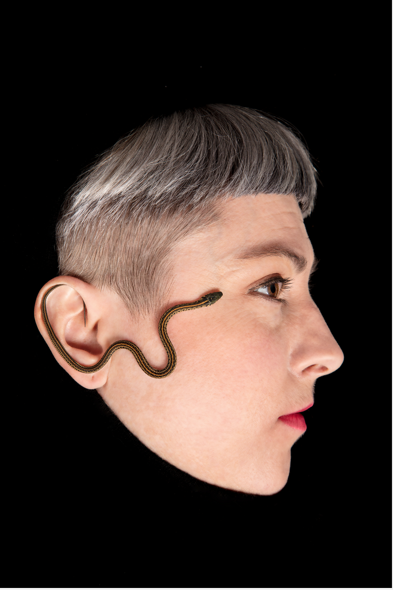 the-curve-of-the-shell_orig.png