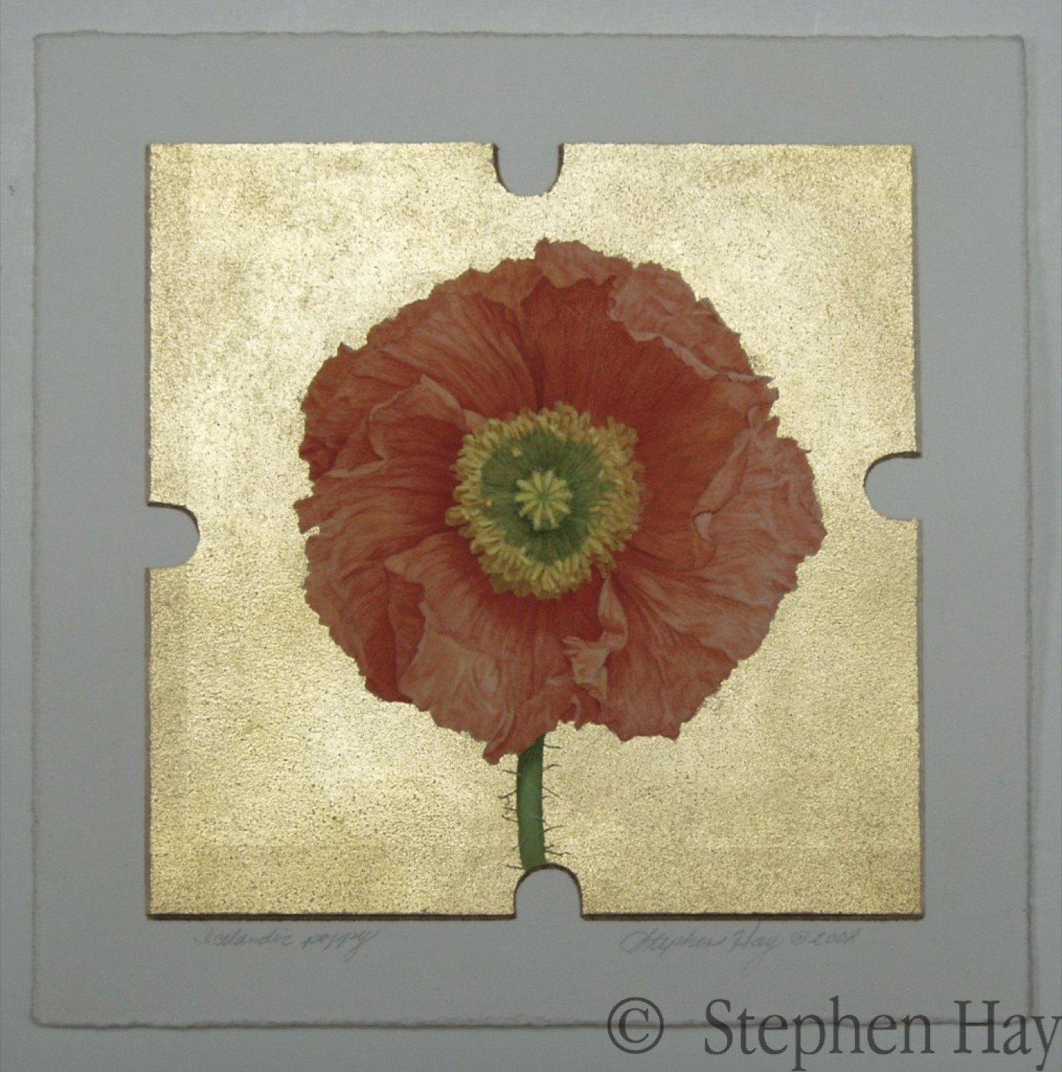 GILDED_BOTANICALS_ICLANDIC_POPPIES_4.jpg