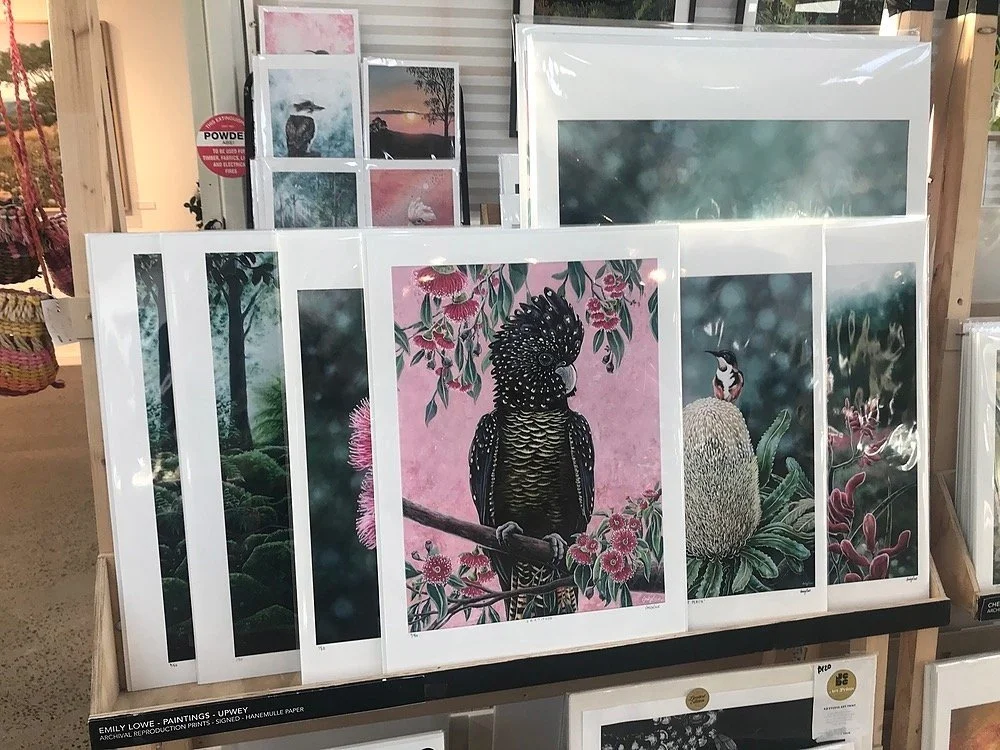 Emily Lowe Fine Arts