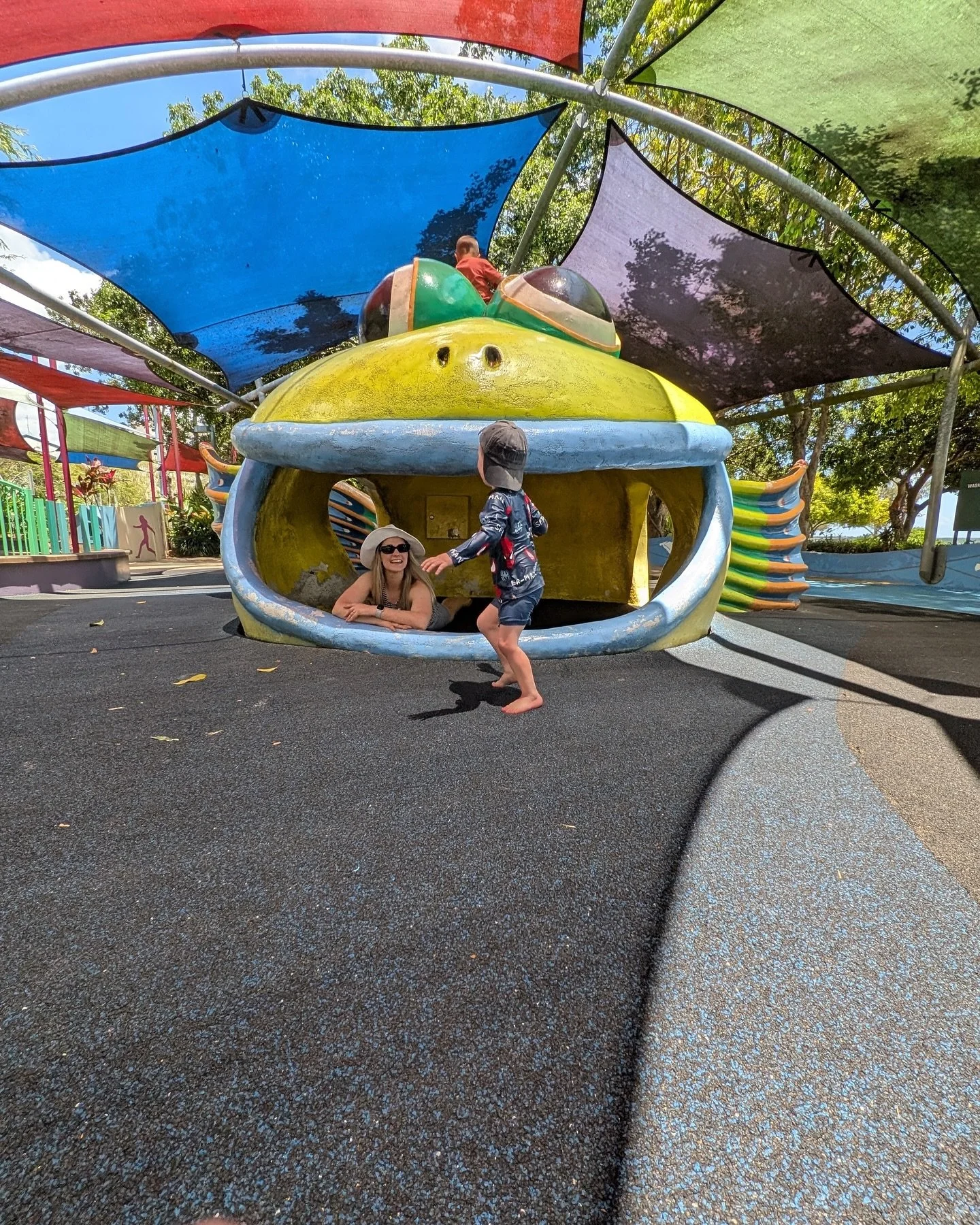 Magical memories in Palm Cove 🌴🌴🌴 🫶🫶🫶 @notacoachmichael