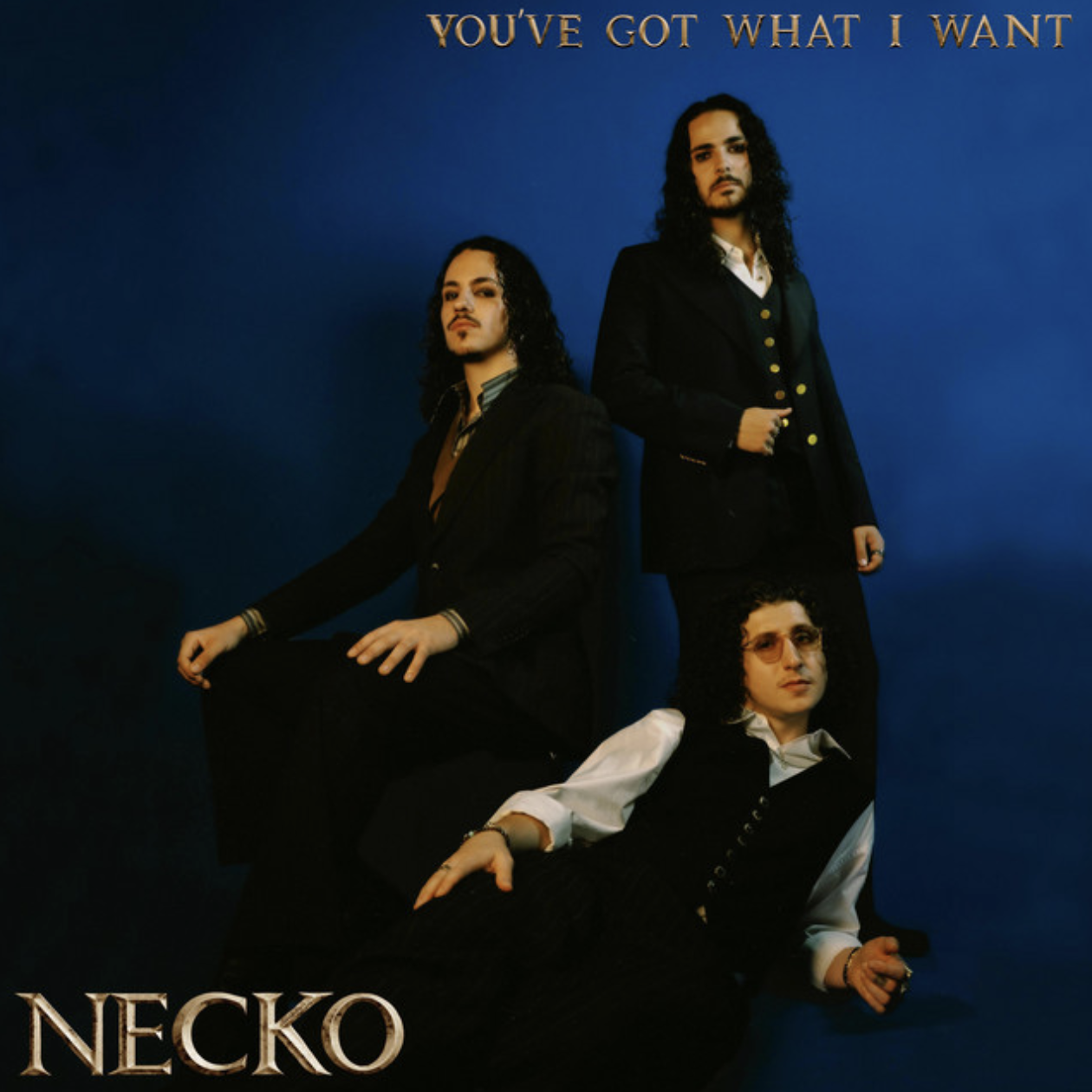 Necko - 'You've Got What I Want' (Engineer)