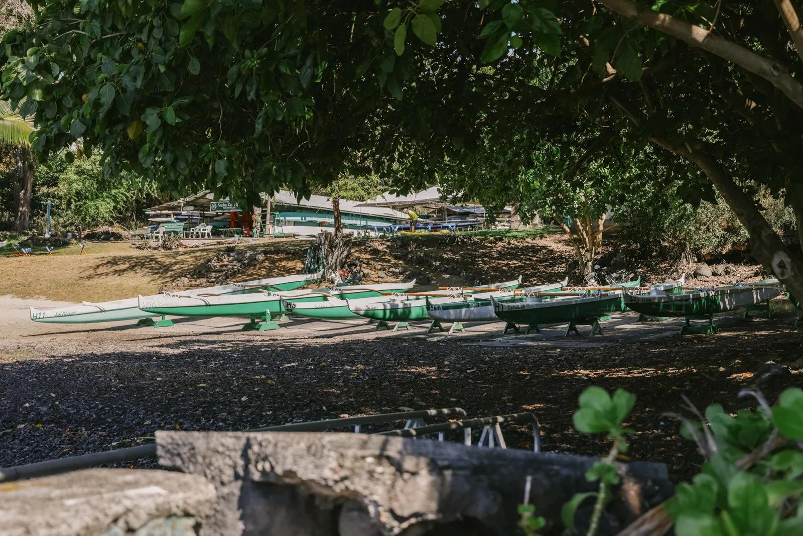 Kona Hawaii_Traveling with Kids_Tropical Vacation_20231122_0020.jpg