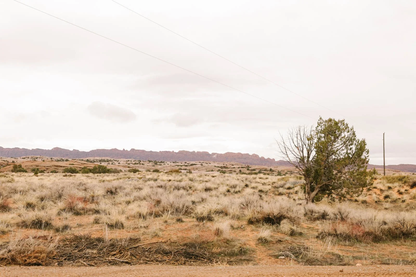 Moab, Utah_Offroading_20240316-23.jpg