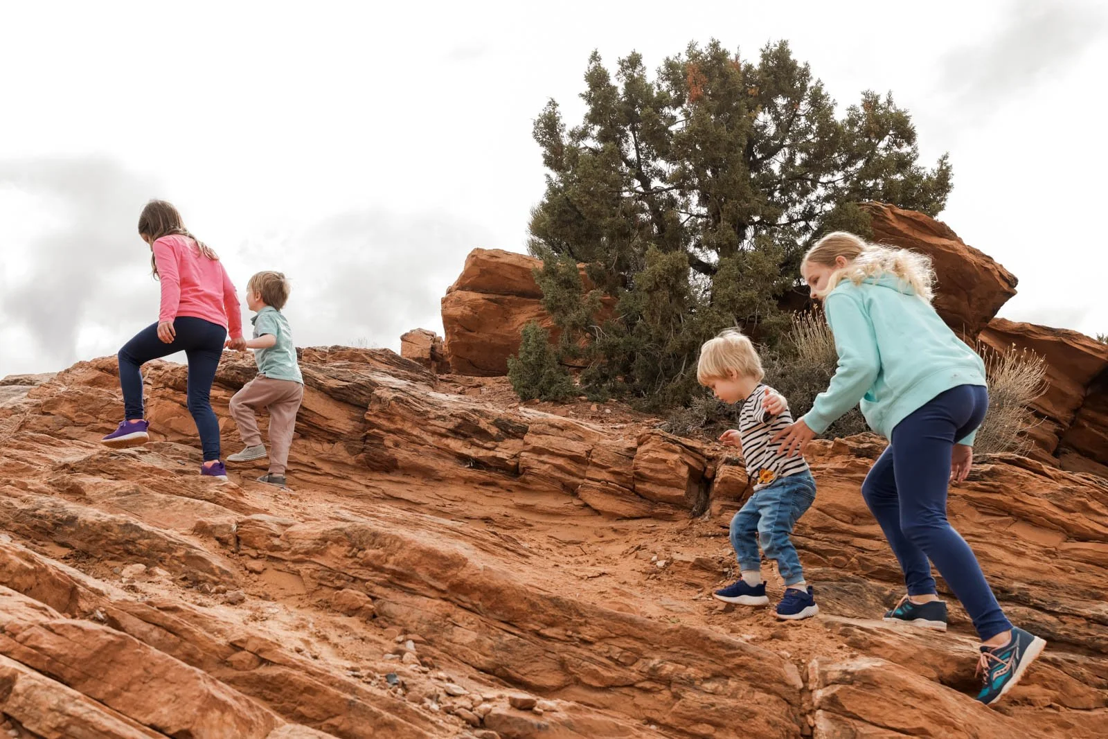 Moab, Utah_Offroading_20240316-36.jpg