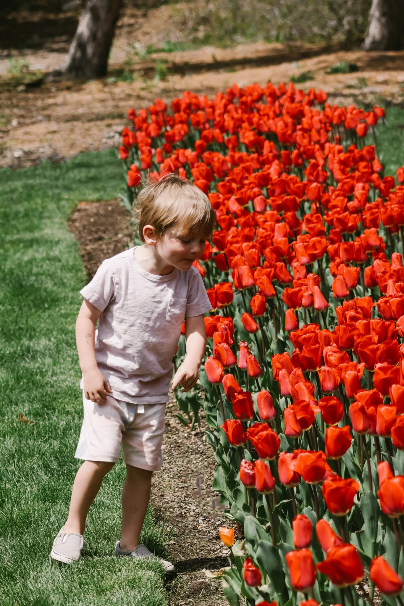 20240417_Tulip Festival_Thanksgiving Point_Lehi, Utah-04.jpg
