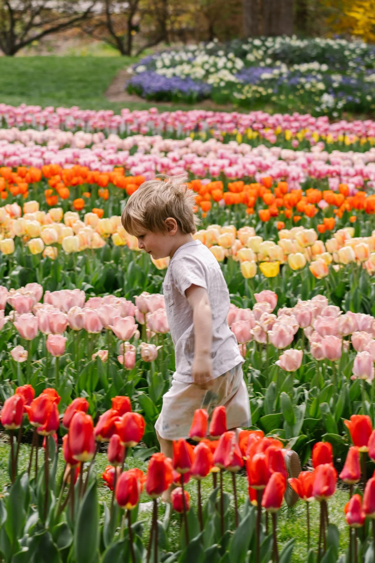 20240417_Tulip Festival_Thanksgiving Point_Lehi, Utah-05.jpg