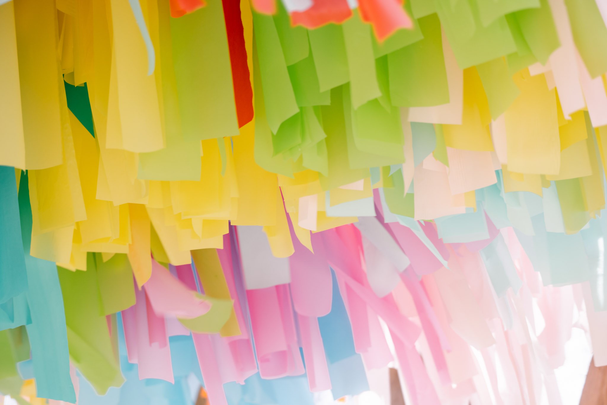 20240417_Tulip Festival_Thanksgiving Point_Lehi, Utah-13.jpg