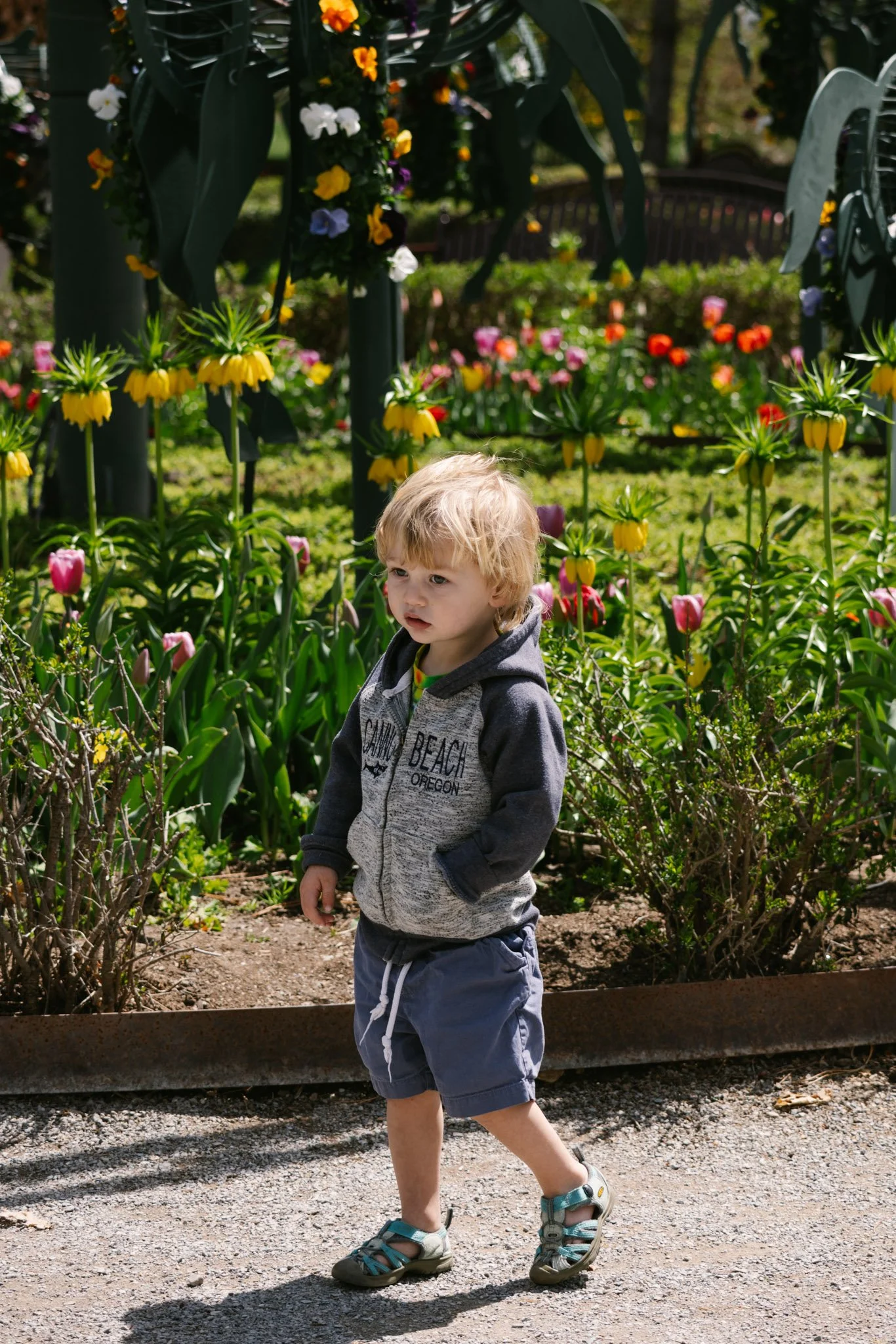 20240417_Tulip Festival_Thanksgiving Point_Lehi, Utah-23.jpg