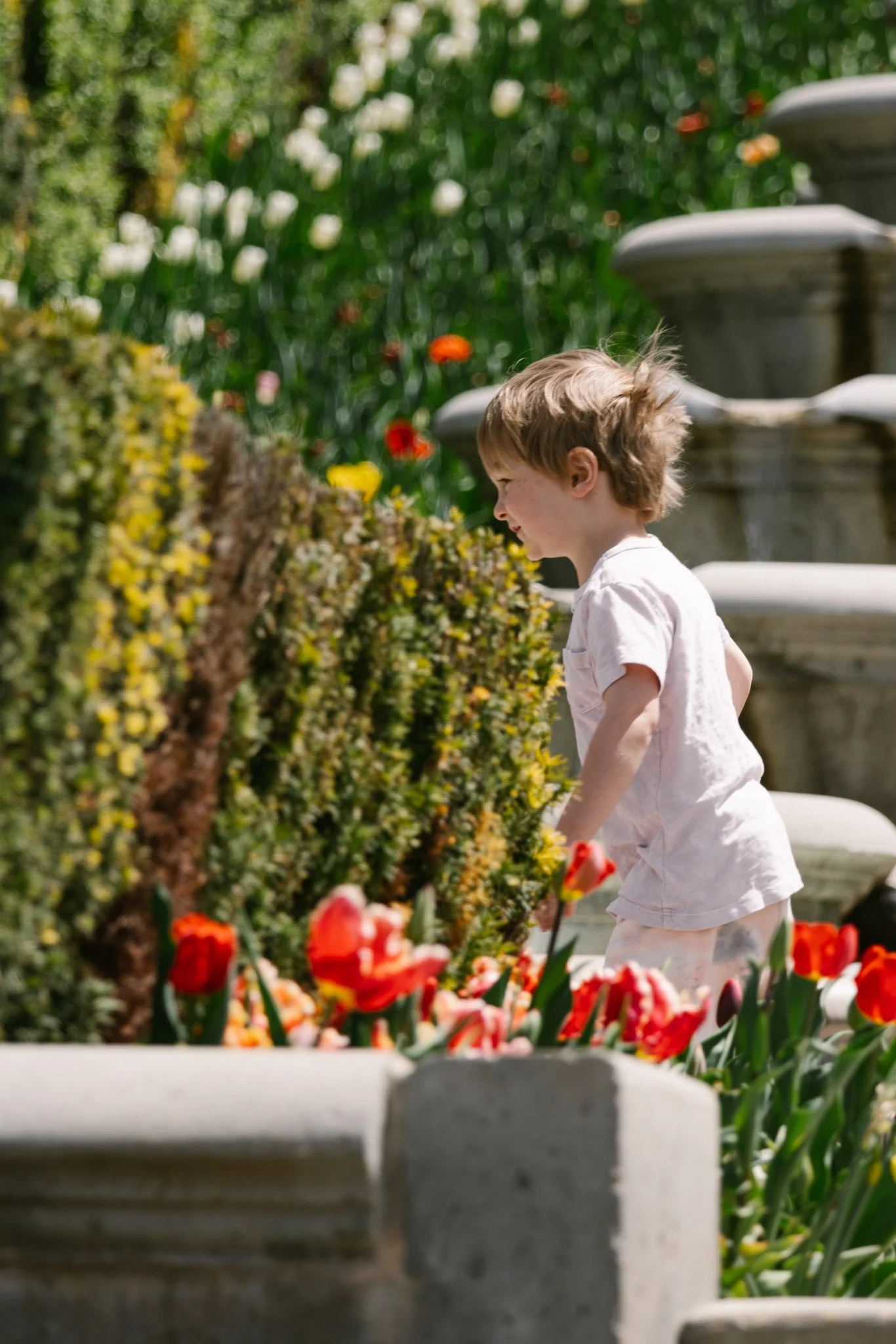 20240417_Tulip Festival_Thanksgiving Point_Lehi, Utah-26.jpg