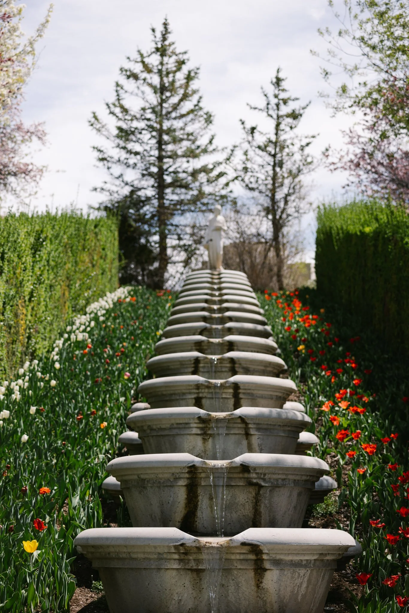 20240417_Tulip Festival_Thanksgiving Point_Lehi, Utah-27.jpg