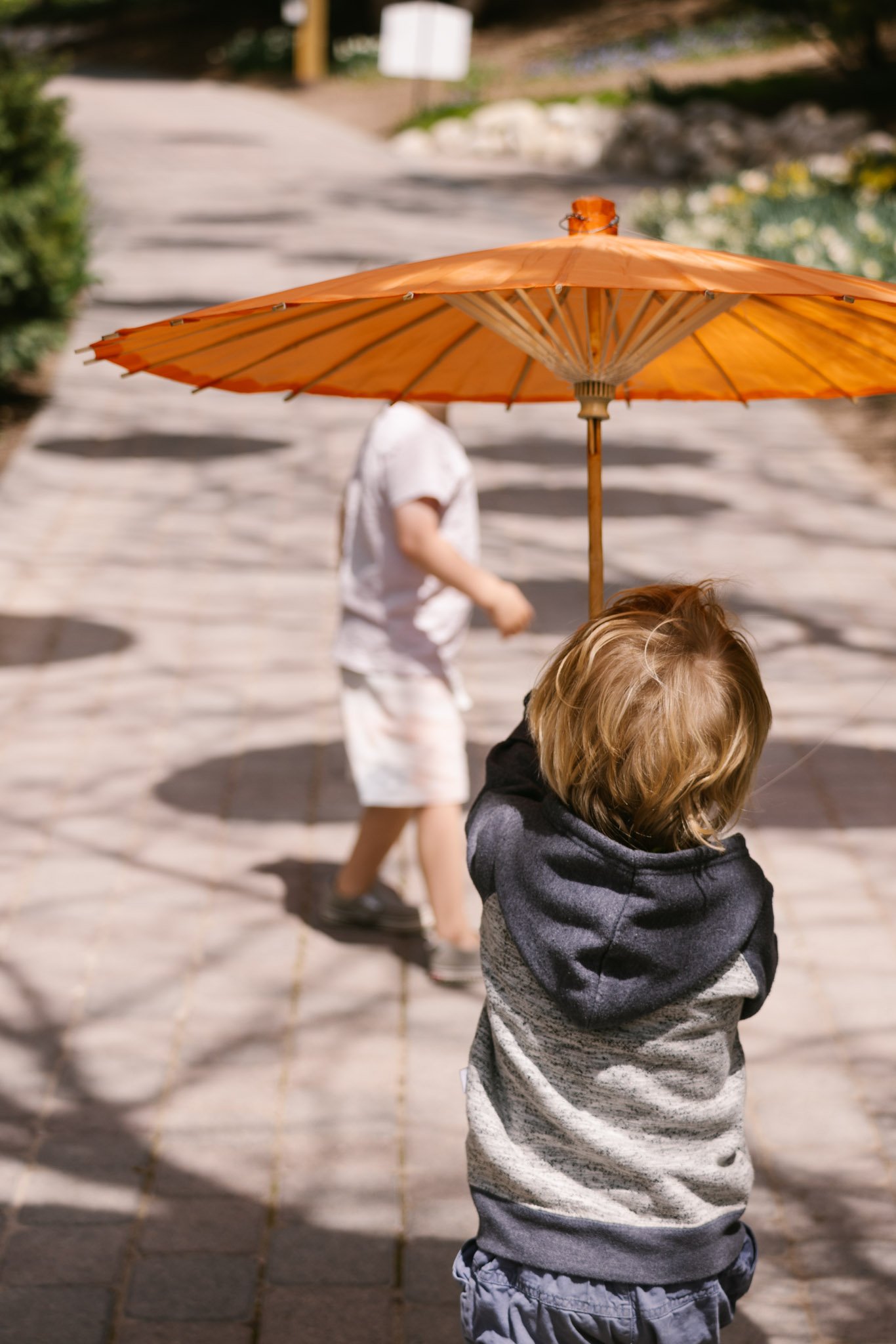 20240417_Tulip Festival_Thanksgiving Point_Lehi, Utah-32.jpg