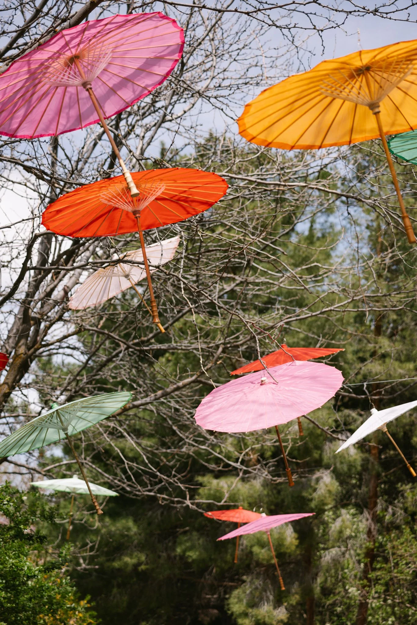 20240417_Tulip Festival_Thanksgiving Point_Lehi, Utah-33.jpg