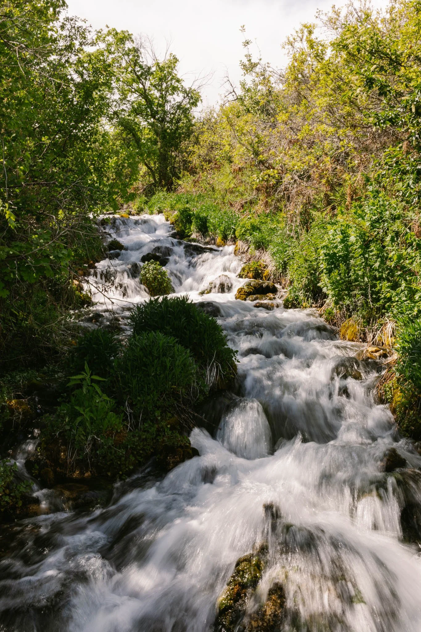 20240601_Cascade Springs_Alpine, Utah-24.jpg