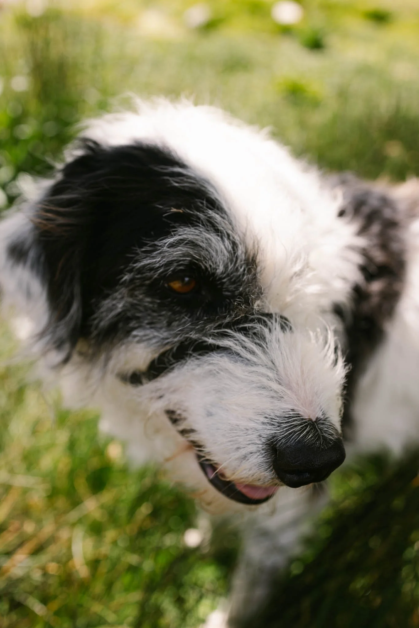 20240601_Cascade Springs_Alpine, Utah-23.jpg