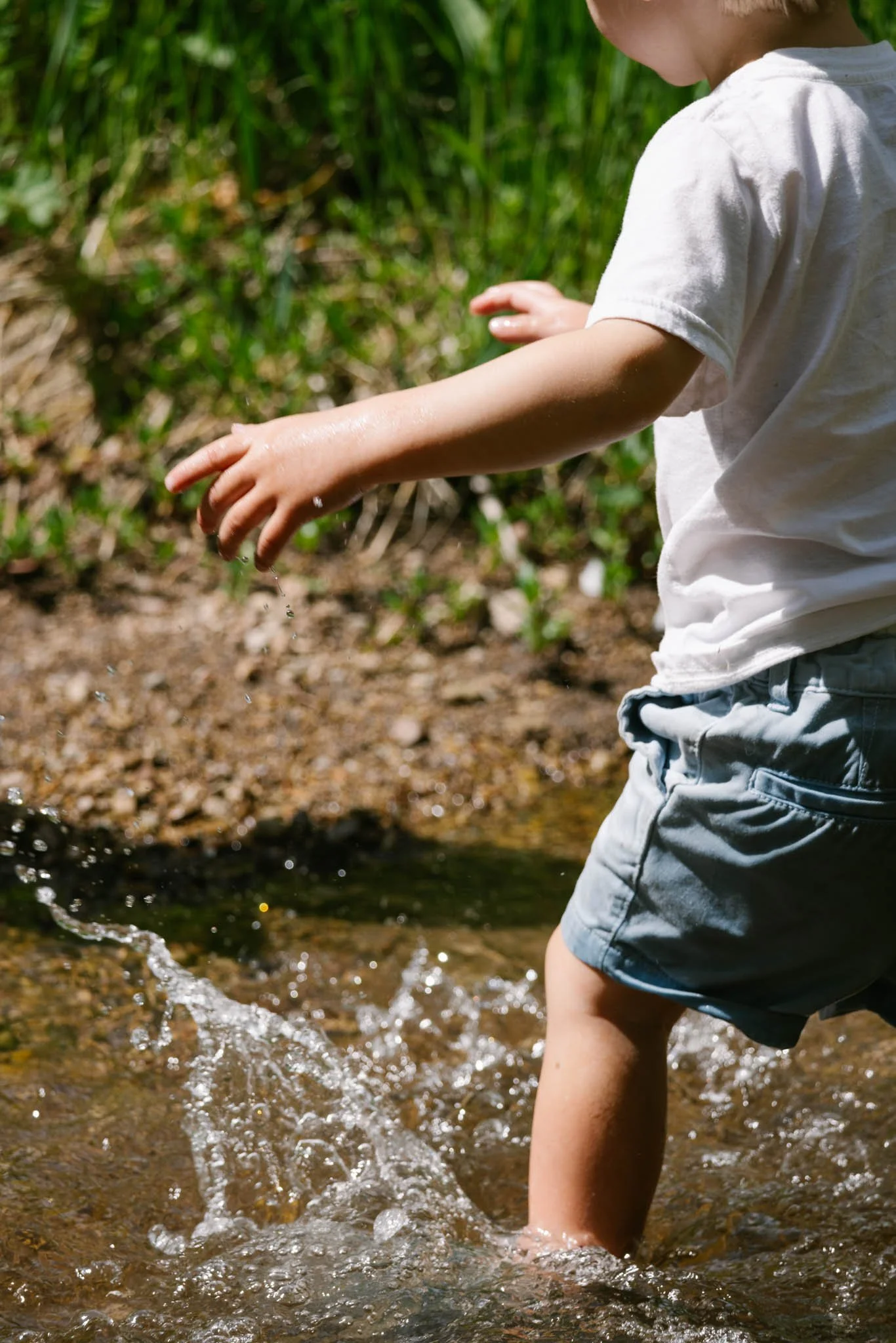 cascade springs in summer